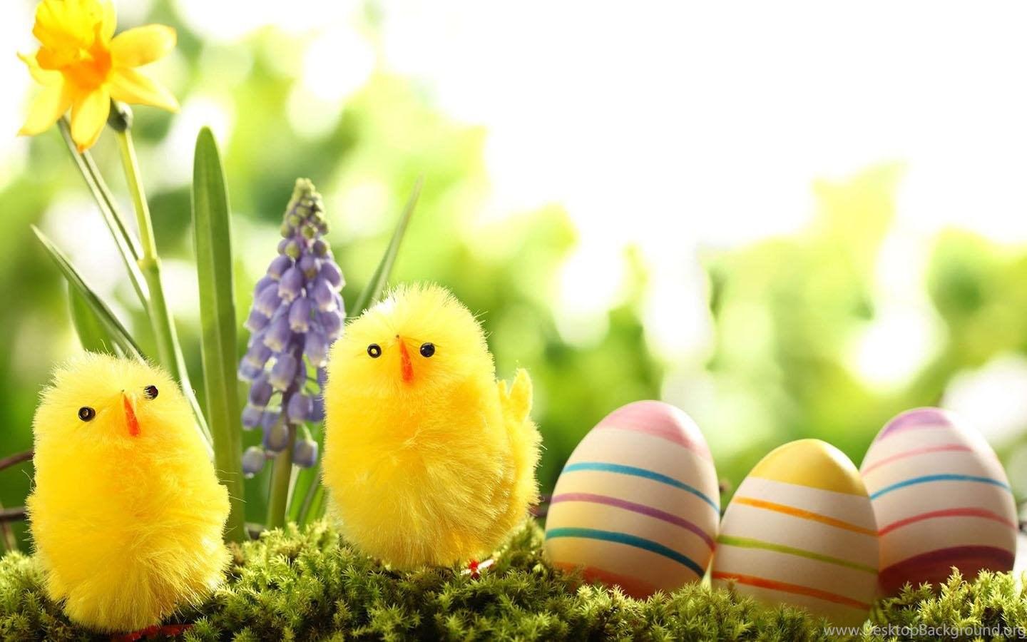 Easter Egg Wallpaper Android Apps On Google Play Desktop Background