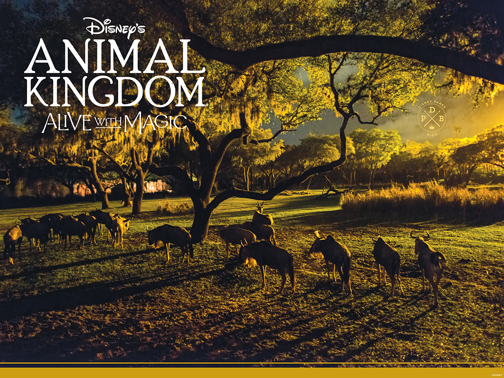 Download Our Disney's Animal Kingdom 'Nighttime'-Inspired Wallpaper