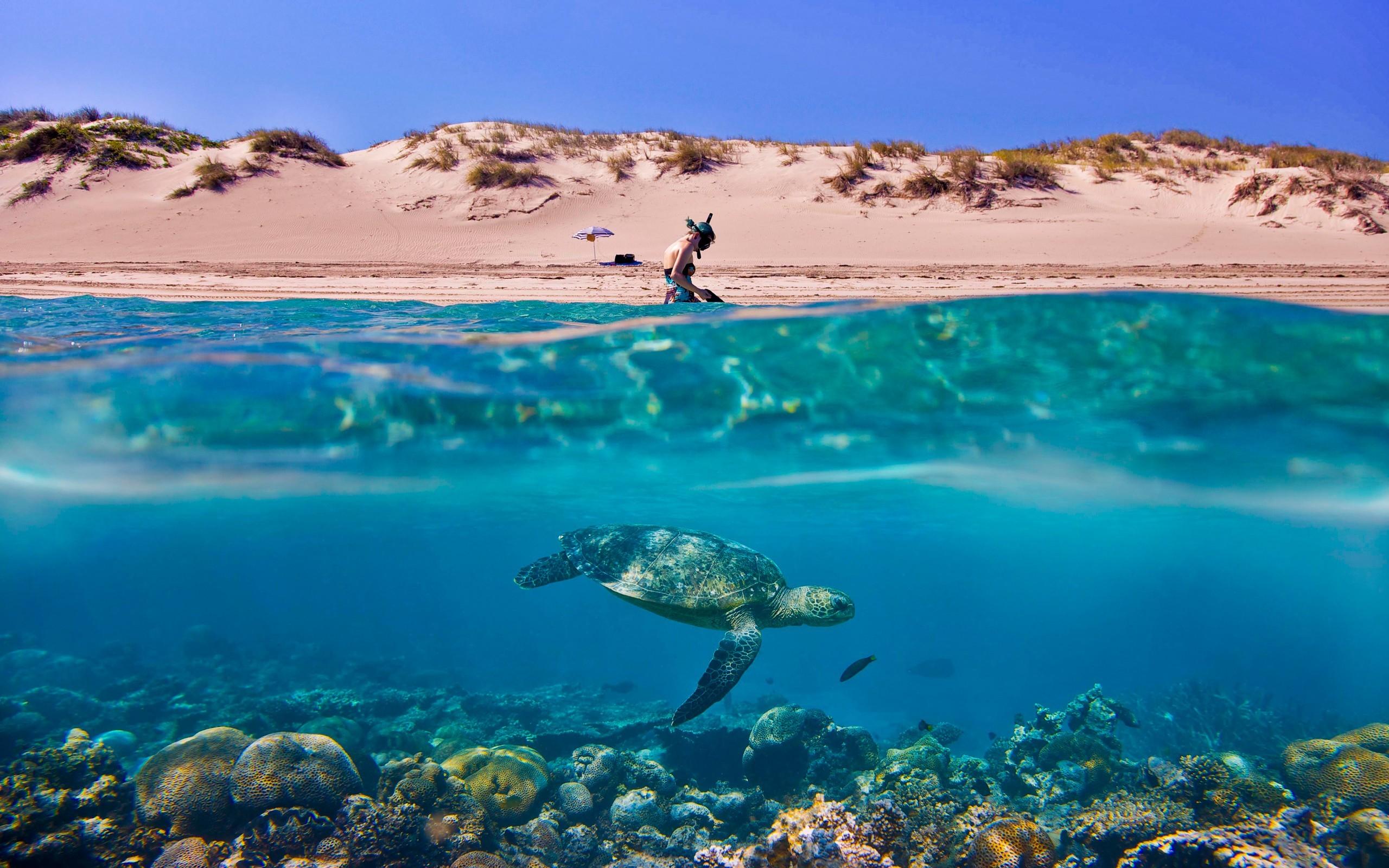 Australia Sand Dunes Umbrellas Scuba Diving Split View Wallpaper