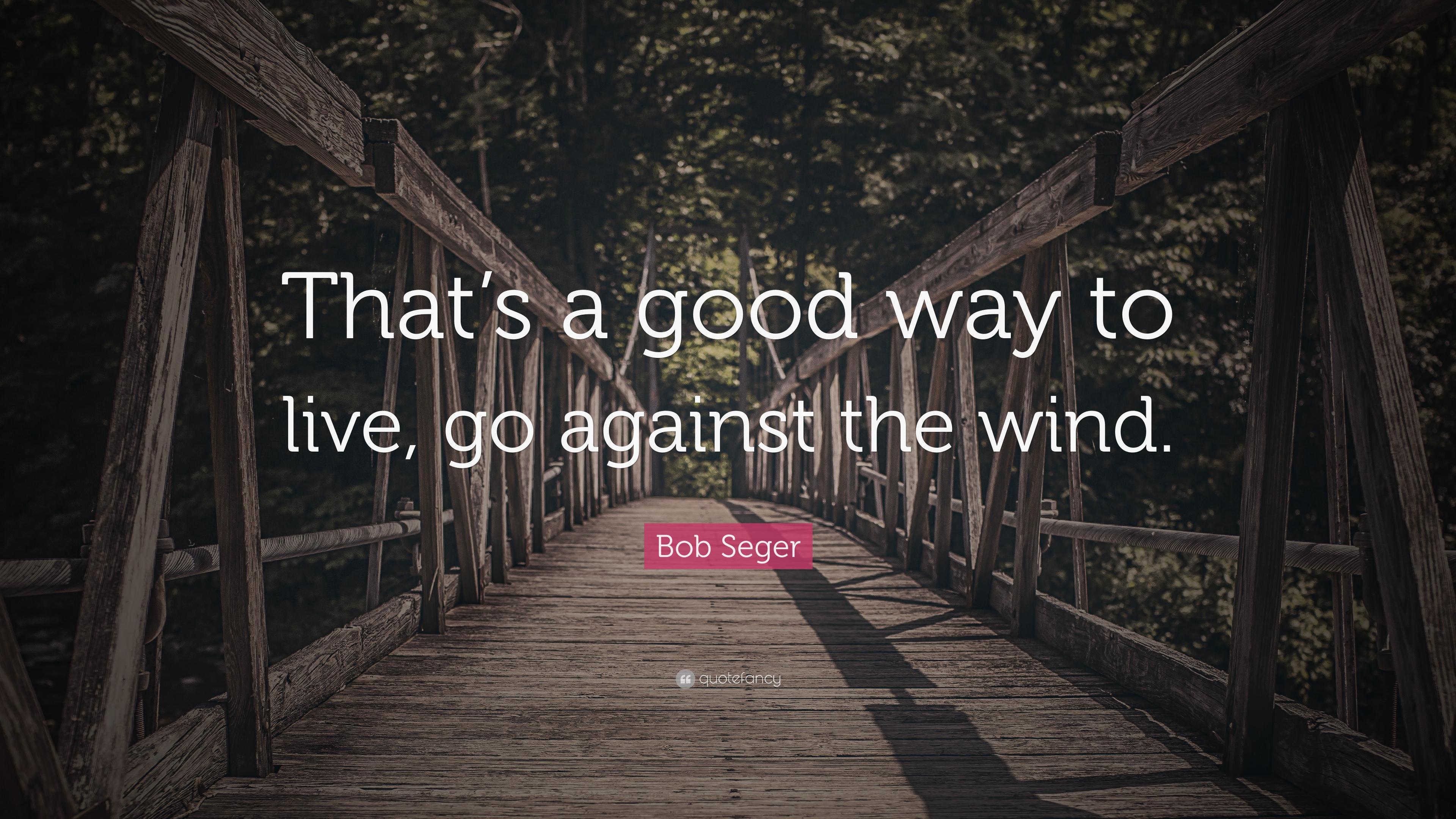 Bob Seger Quote: “That's a good way to live, go against the wind