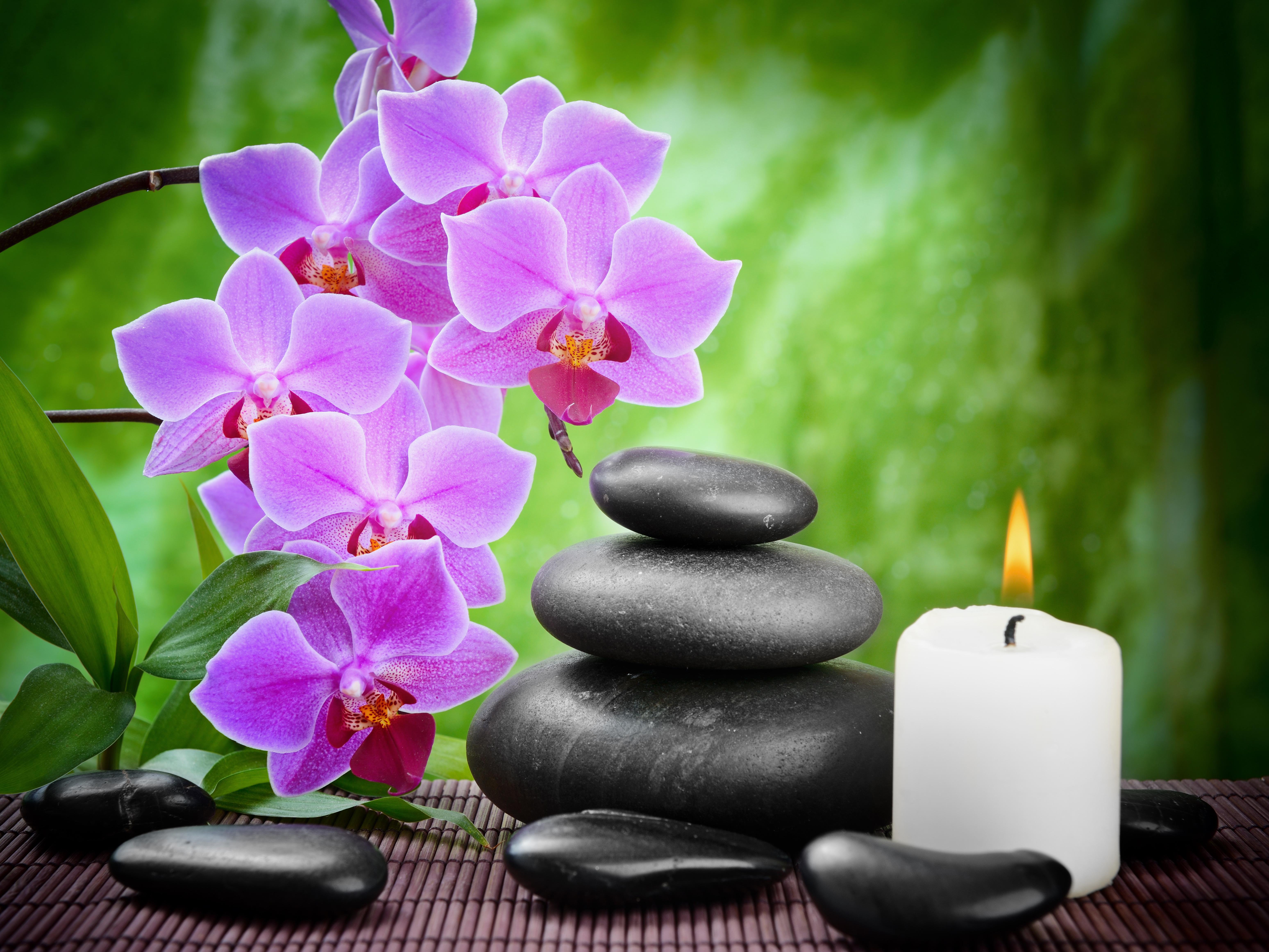 Green Spa Background with Orchids
