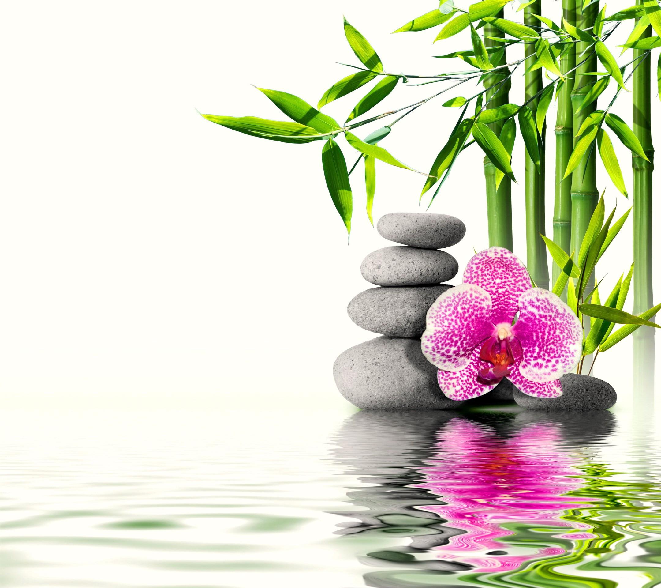 Flowers Water Flower Bamboo Stones Relaxing Spa Reflection Wallpaper