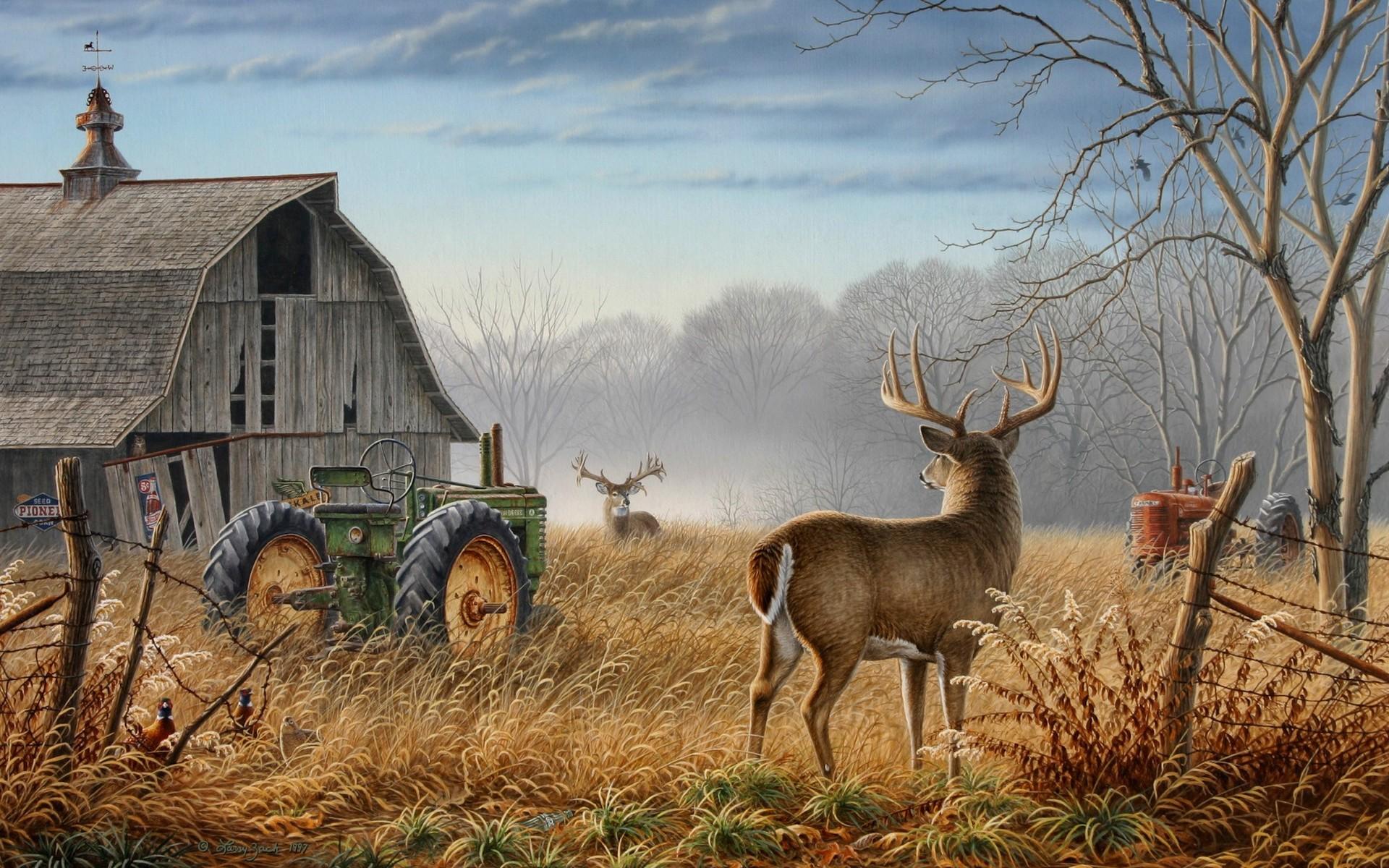animals, tractors, artwork, antelope, barn, White Tail Deer