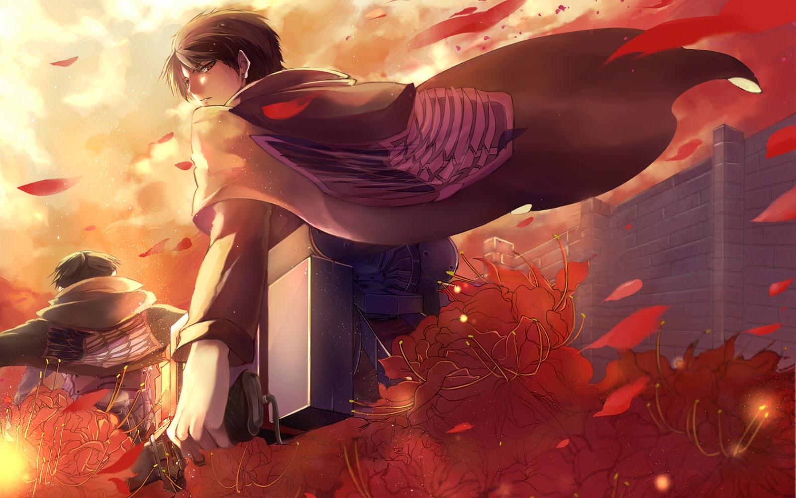 Levi HD Wallpaper HD Wallpaper