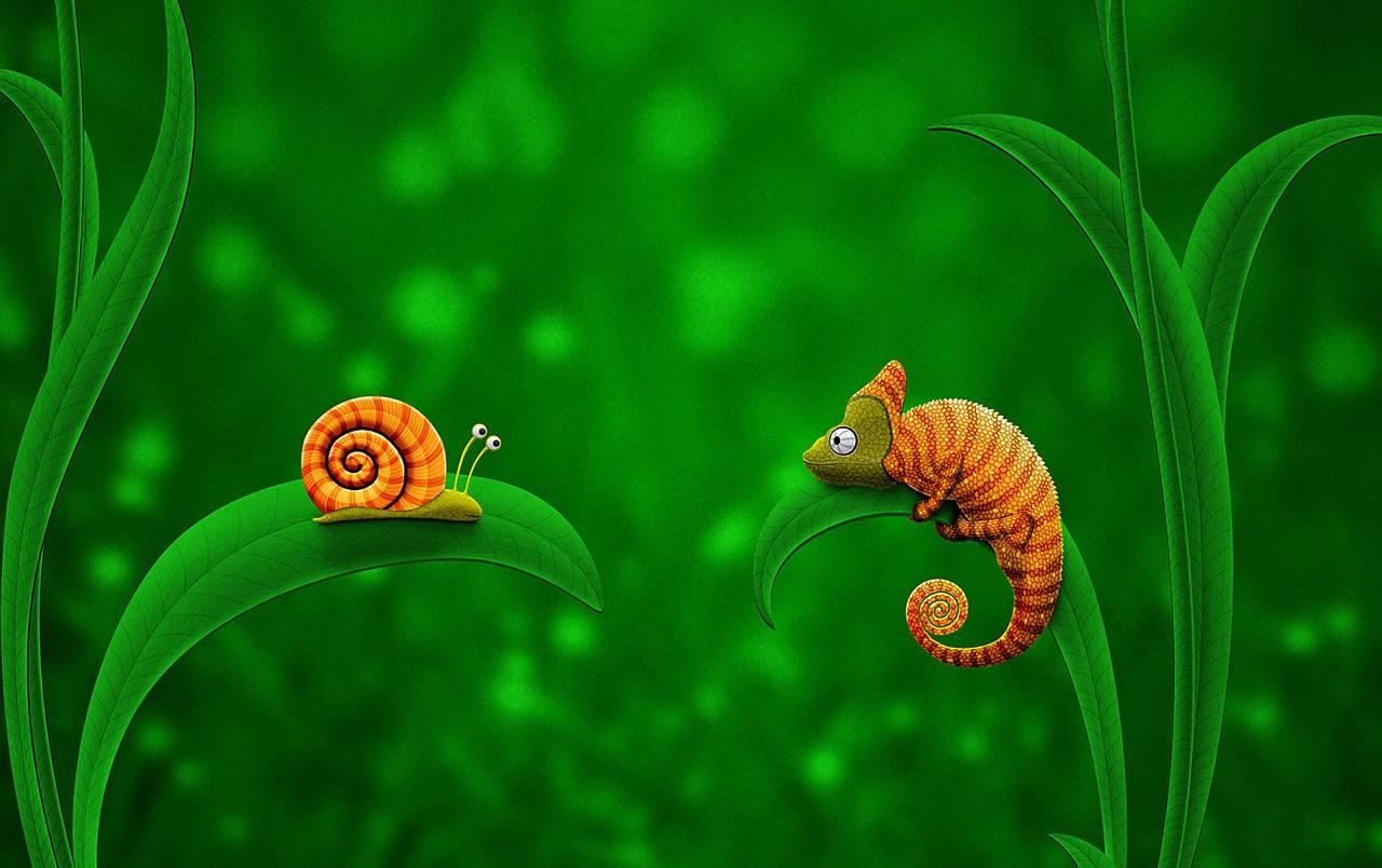 Snail and chameleon wallpaper. Snail and chameleon