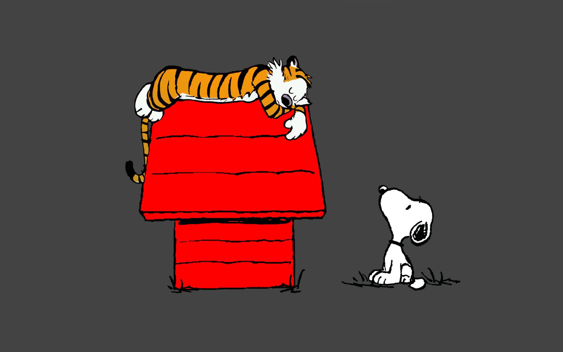 Calvin and Hobbes Snoopy Sleep peanuts tiger wallpaperx1200