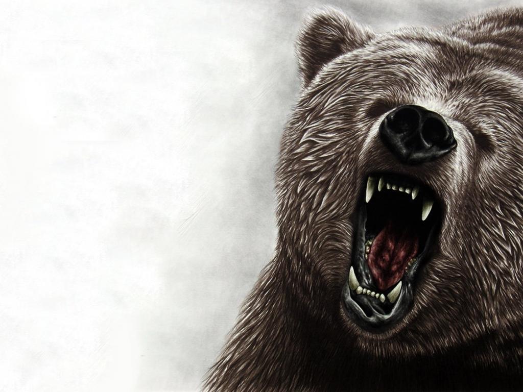 Angry Grizzly Bear Wallpaper 6 X 1080
