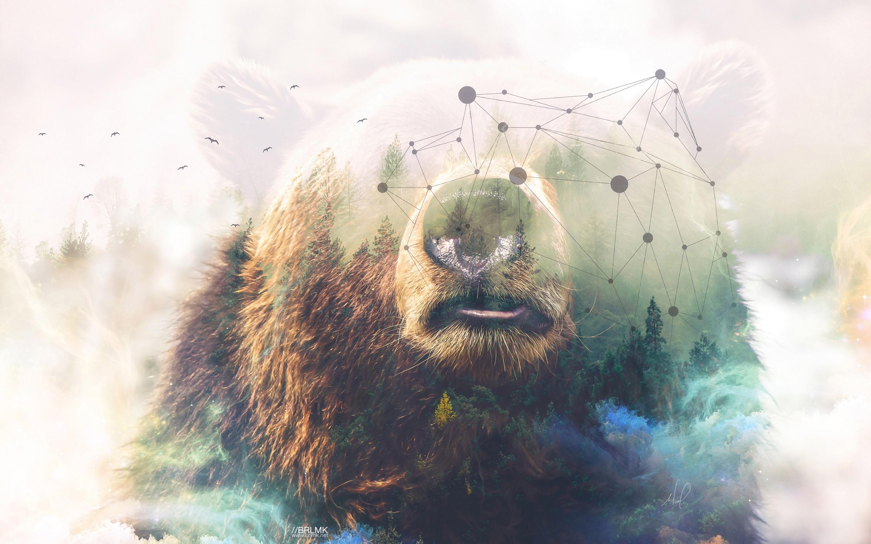 Download 2880x1800 Grizzly Bear, Photo Manipulation, Forest