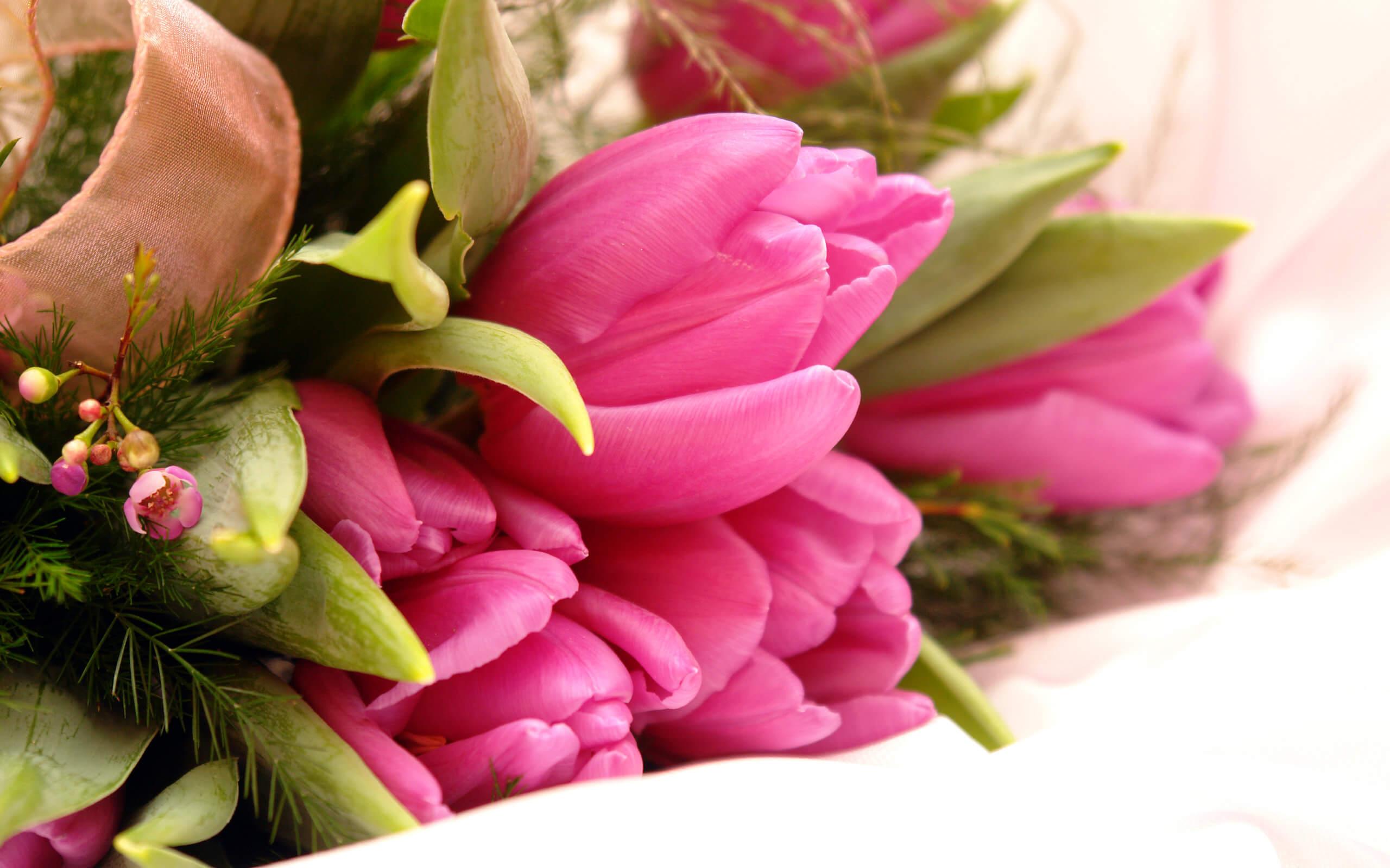 Fancy pink flowers bouquet - Flower Wallpaper