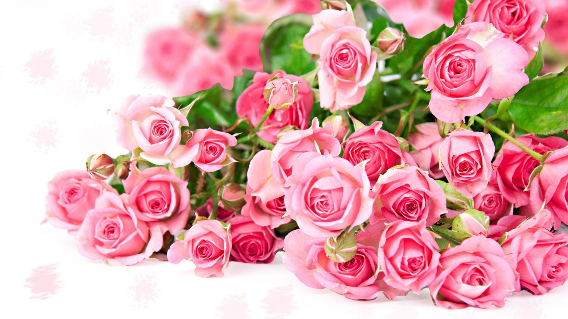 Pink Flower Bouquet. Pink rose flower bouquet, romantic color