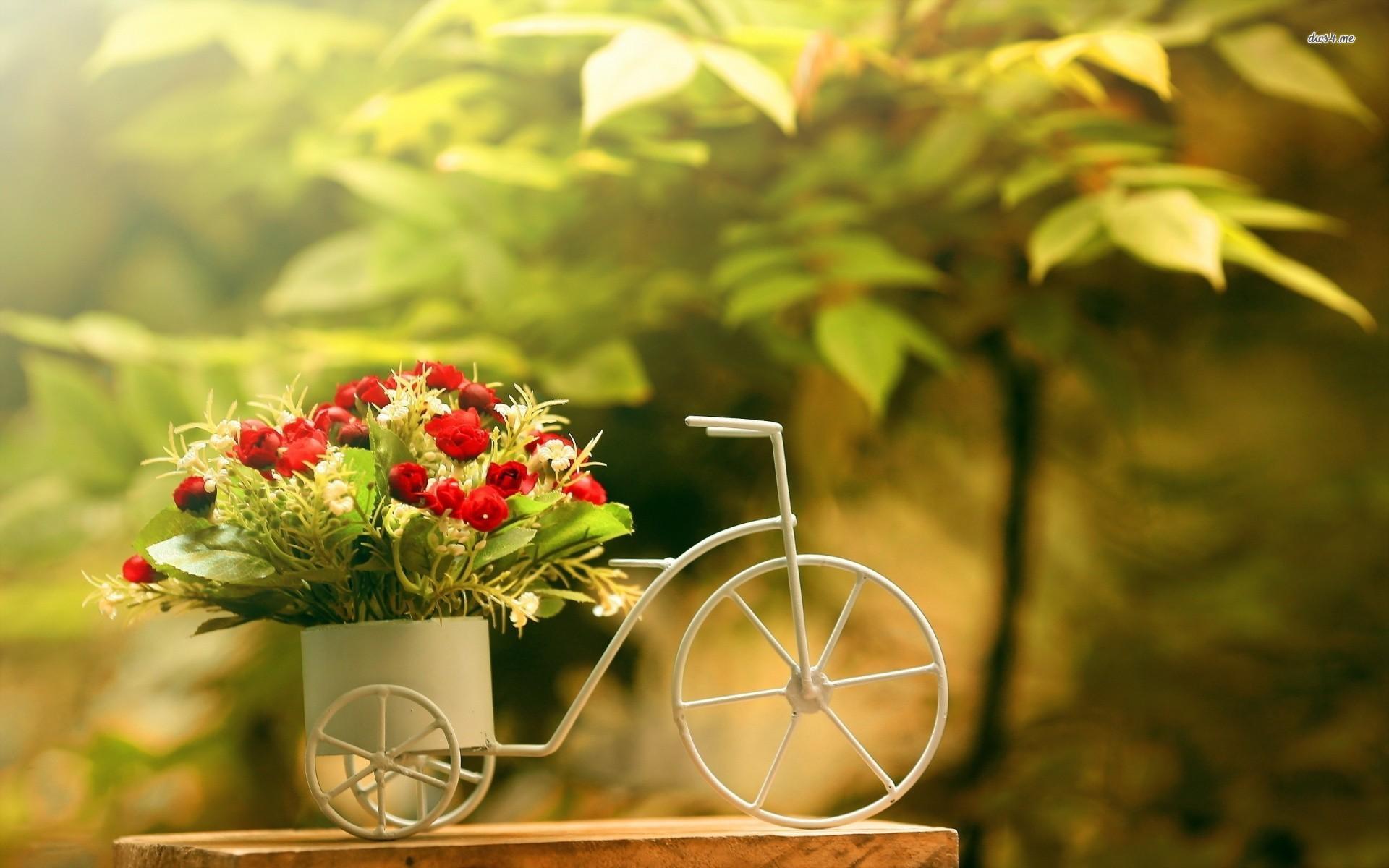 Bicycle Bike Flower Bouquet Wallpaper