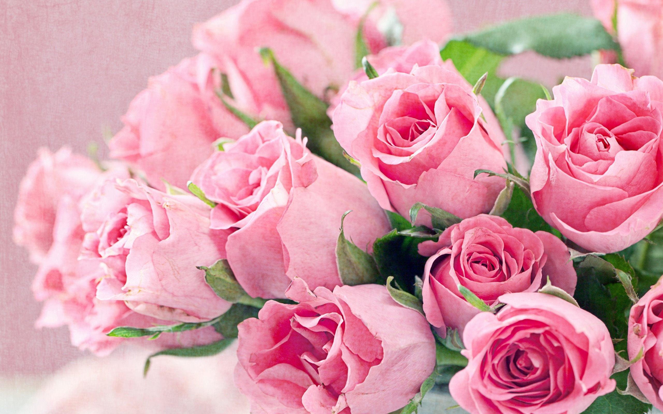 Fresh Flowers Bouquet Of Pink Roses HD Desktop Background Free