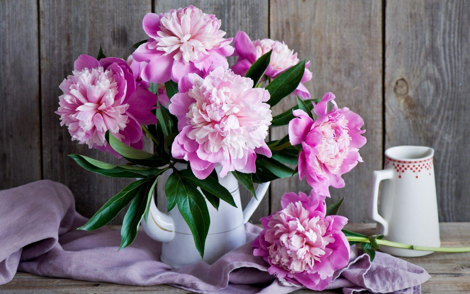 Peony Flower Bouquet Wallpaper for desktop and mobile in high