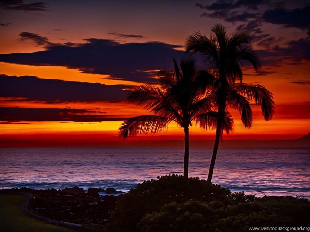 [hawai view] 38 Wp4088007