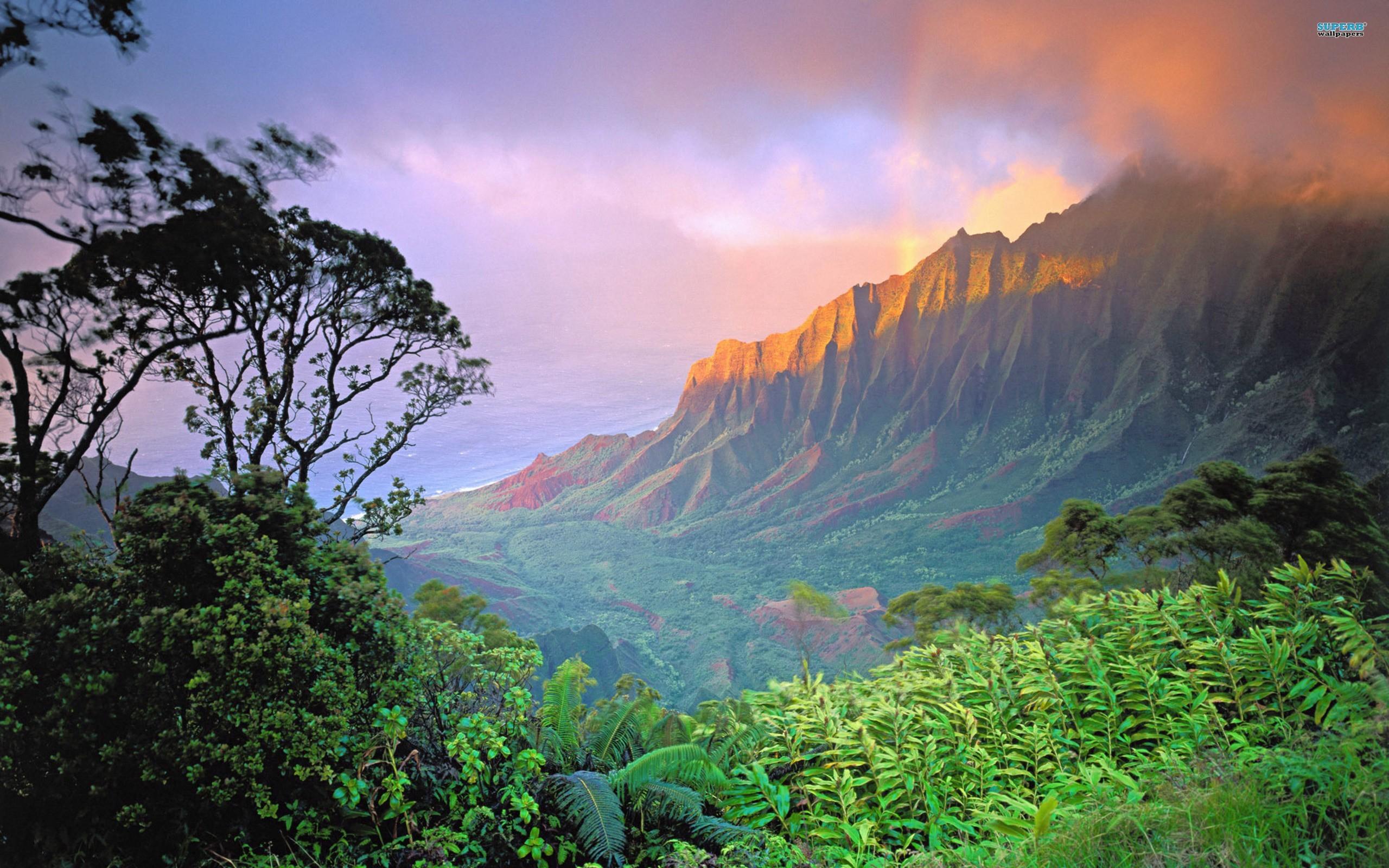 Hawaii nature wallpaper. PC