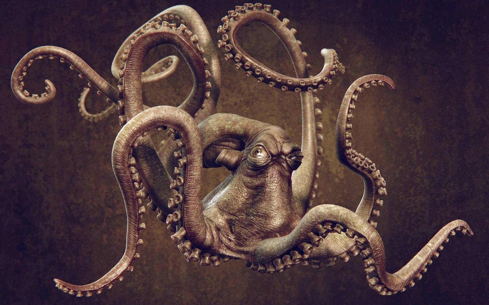 Octopus Wallpaper HD Download