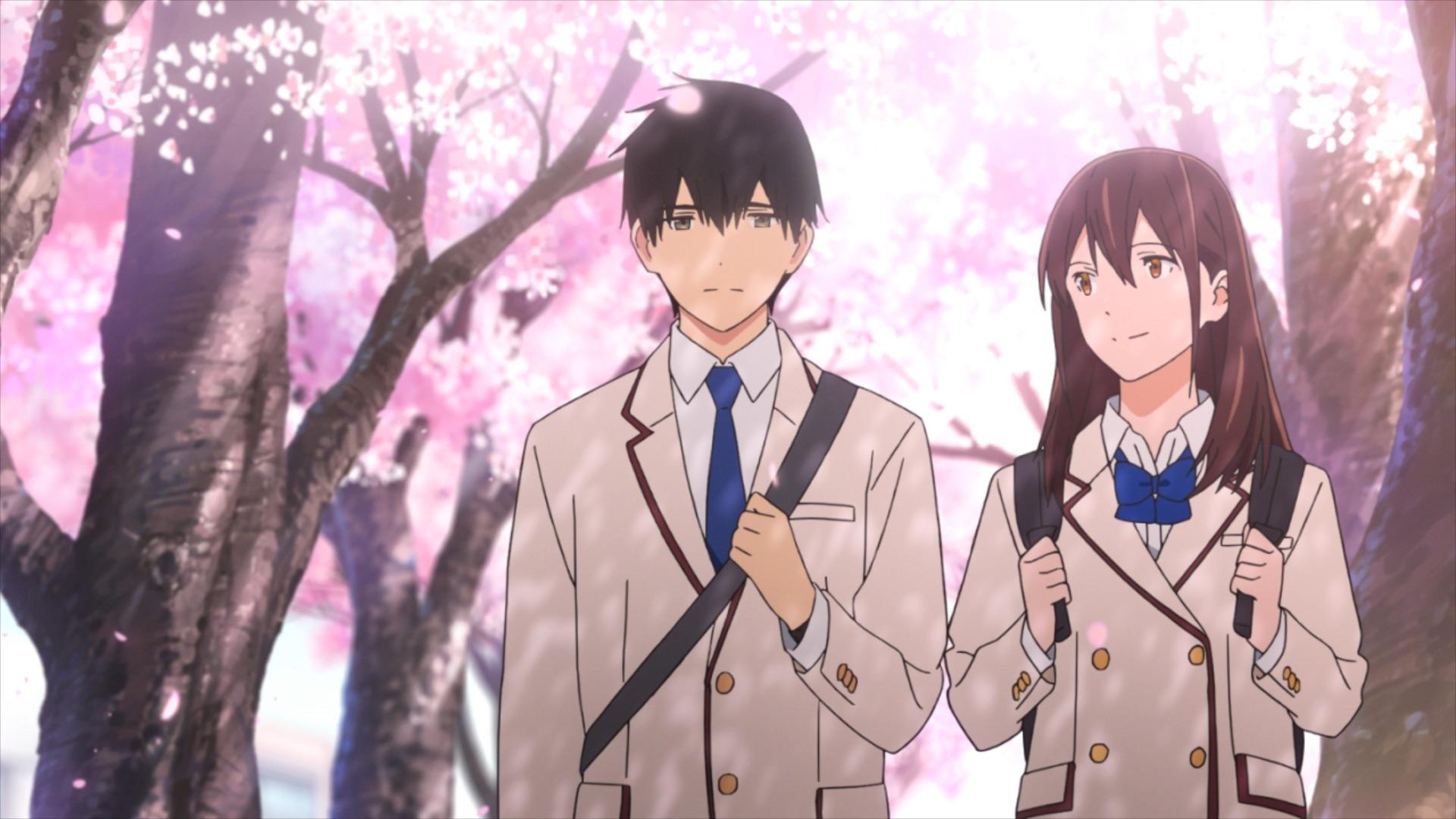 Anime I Want To Eat Your Pancreas Sakura HD Wallpapers - Wallpaper...