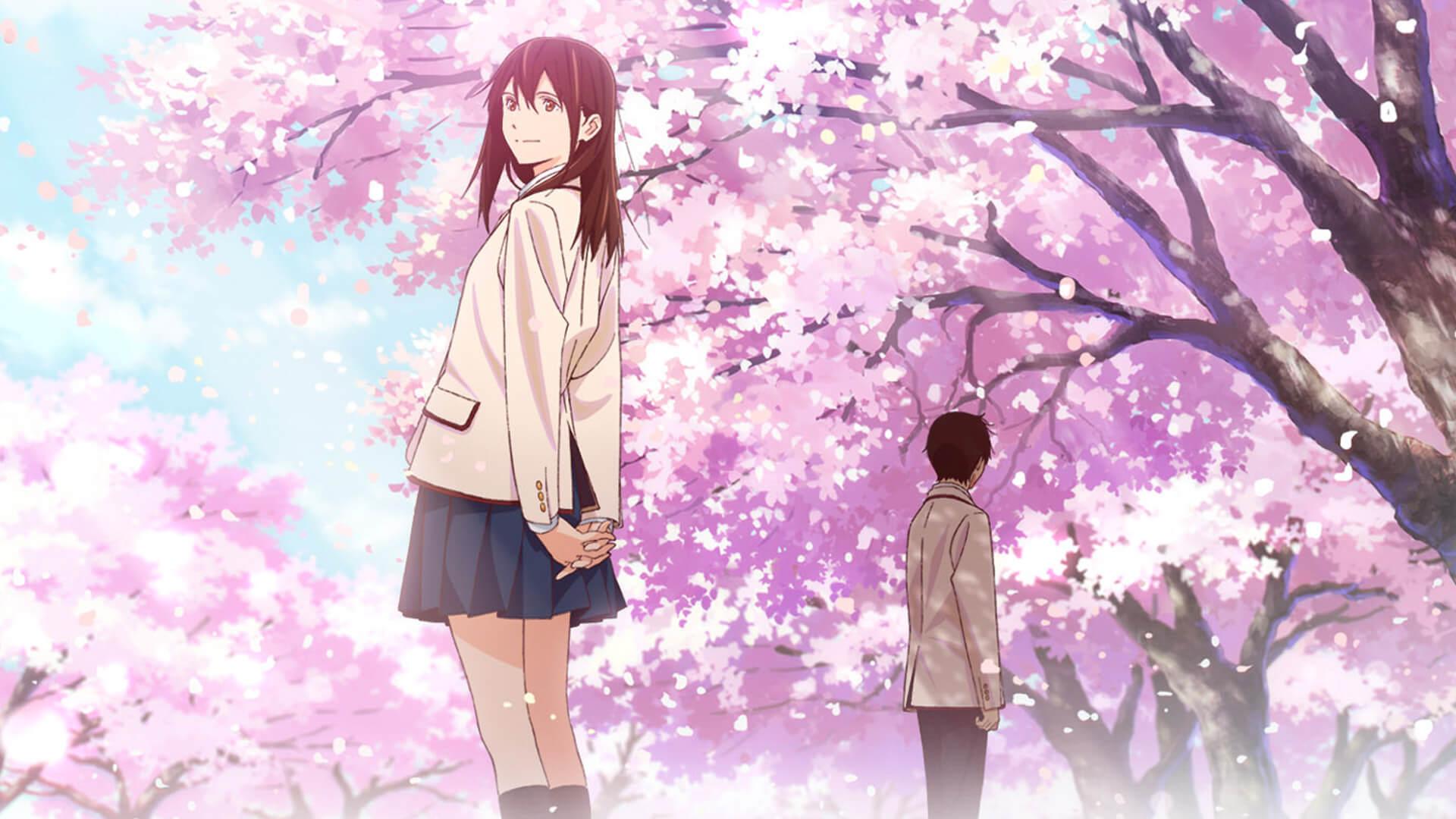 I Want To Eat Your Pancreas Review Game News & Reviews