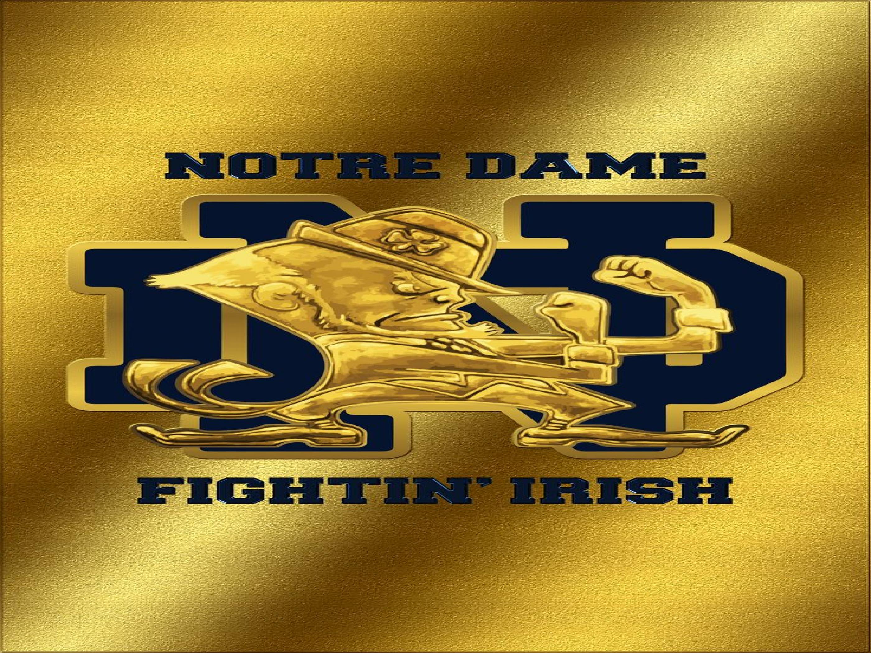 Pack.64: Notre Dame Wallpaper (736x1308)