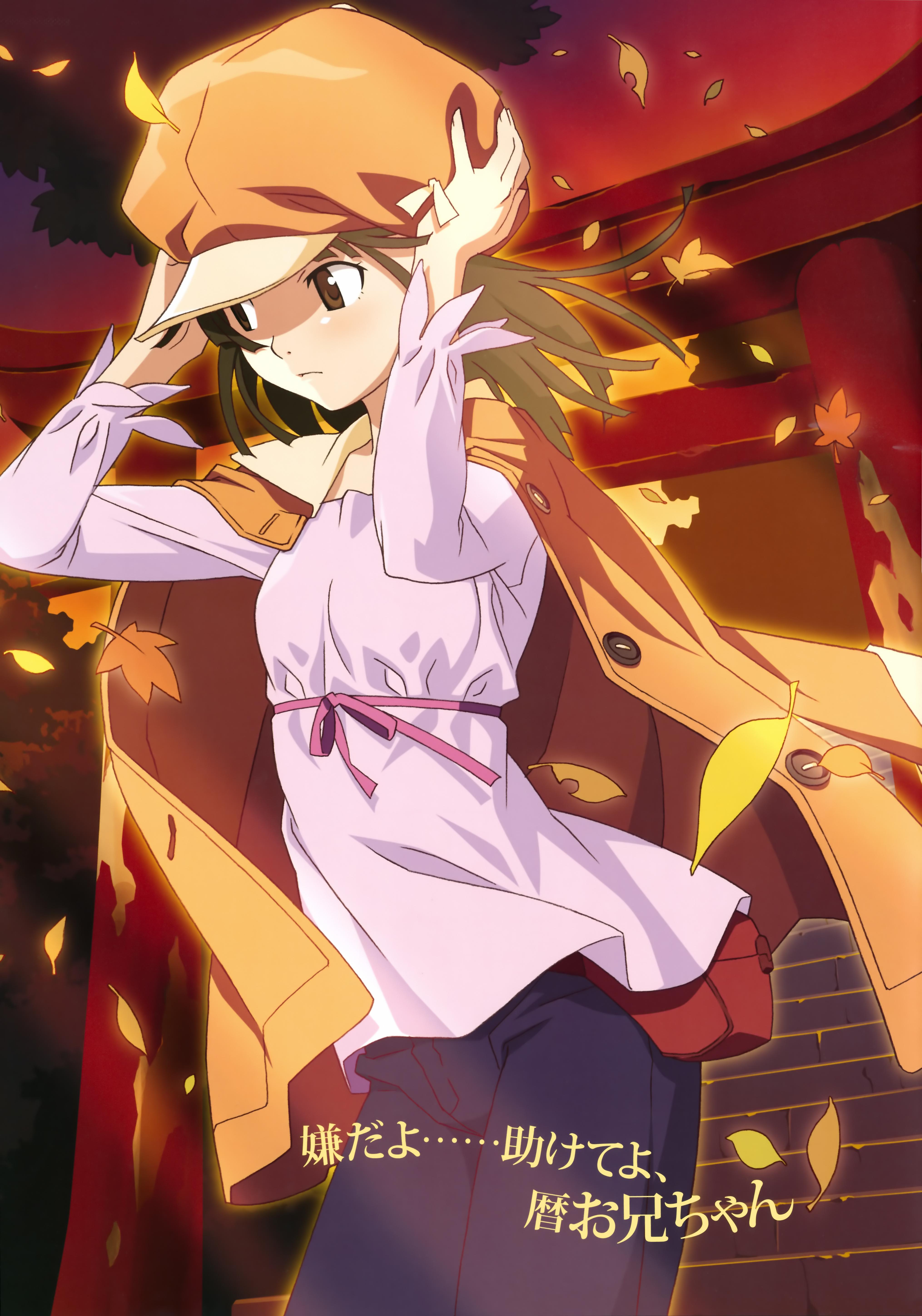 Sengoku Nadeko Anime Image Board