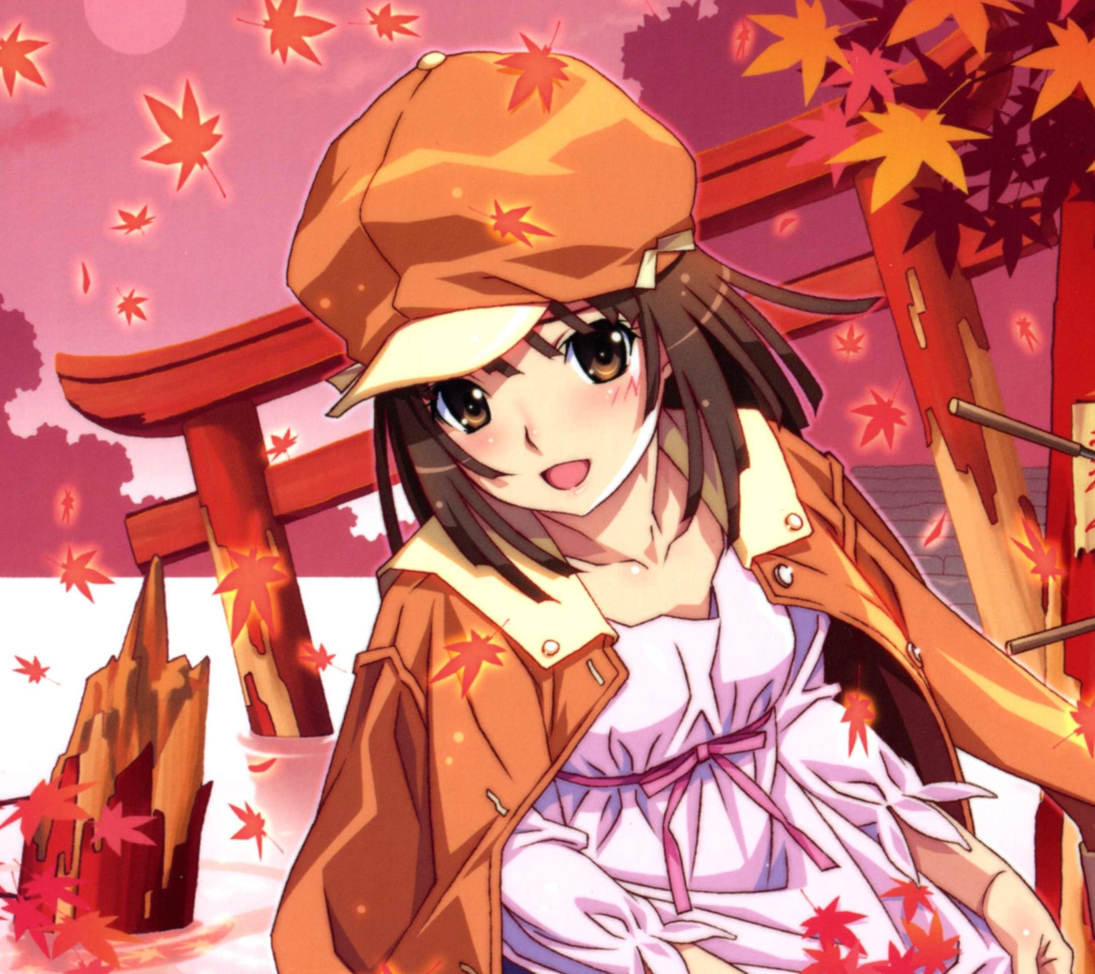 Monogatari.Nadeko Sengoku Android wallpaper.2160×1920 (1)