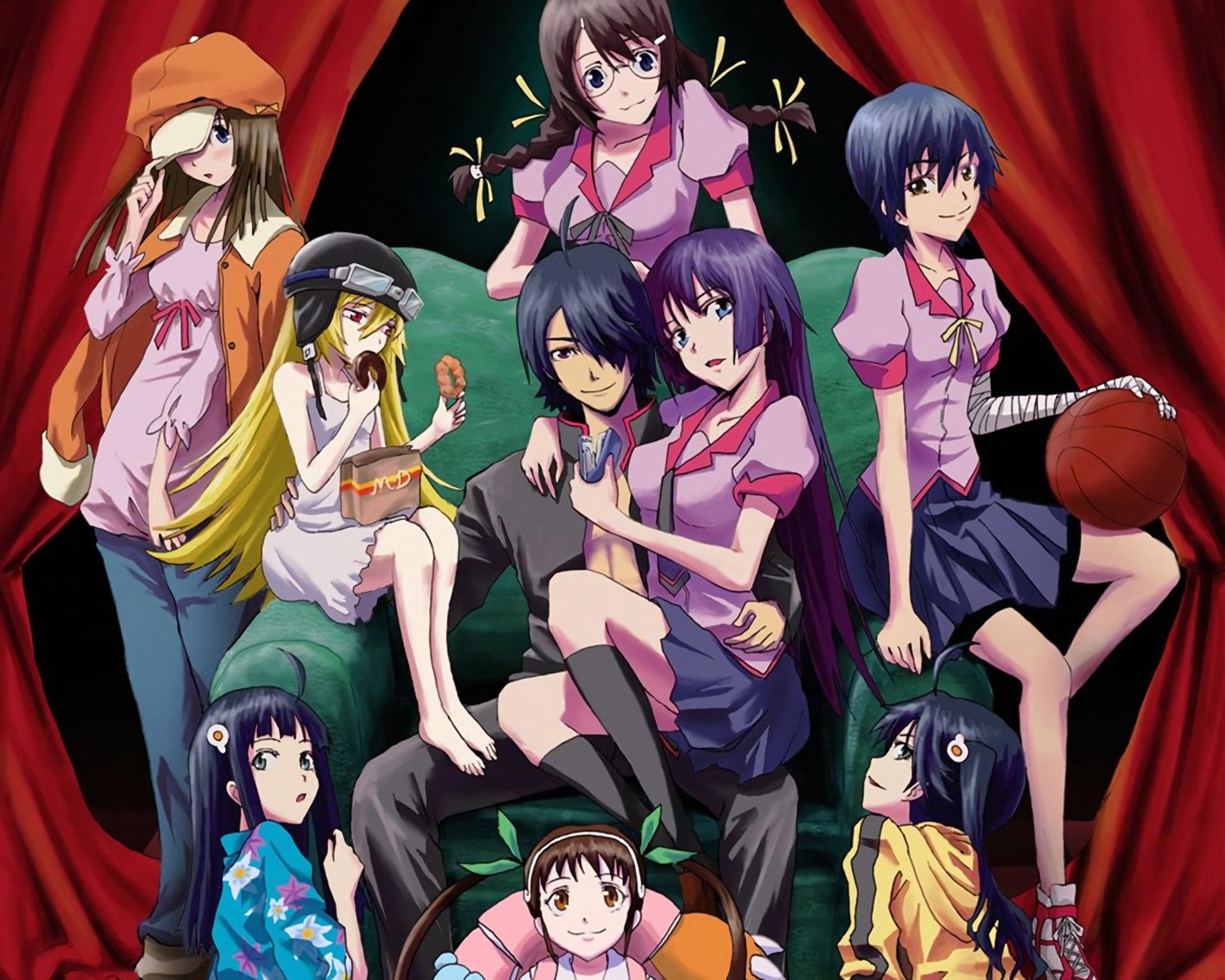 HD wallpaper: group of female anime character wallpaper, Monogatari