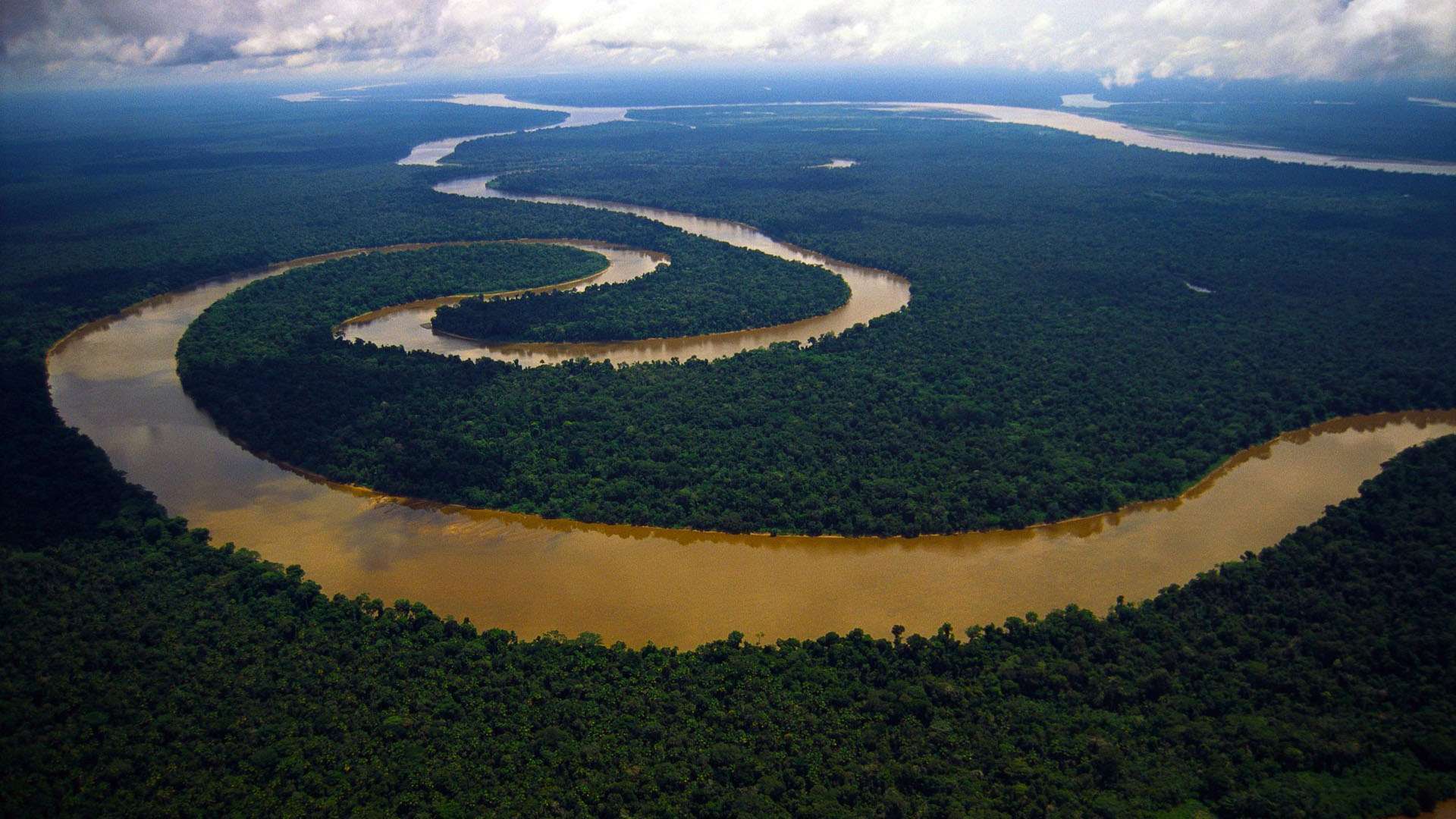 Nature Amazon River #Wallpaper