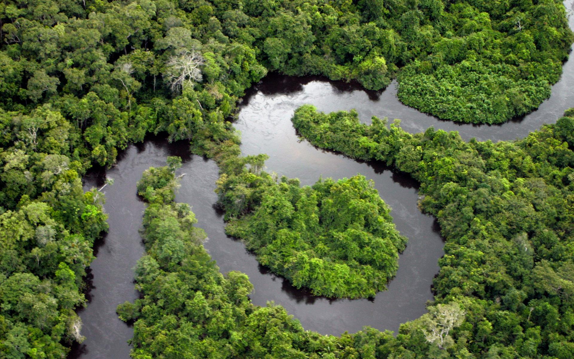 Amazon River Winding Through Rainforest Seen from the Air