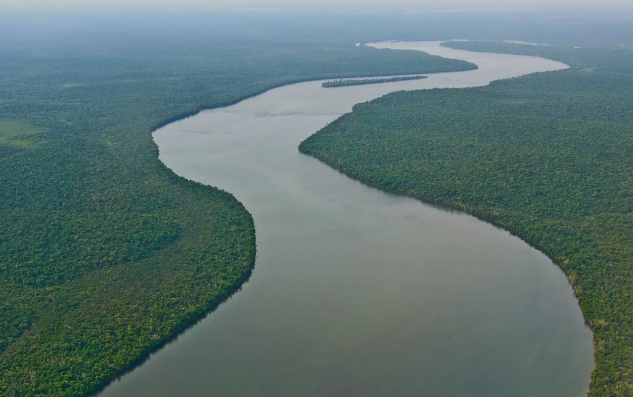 Amazon River South America wallpapers
