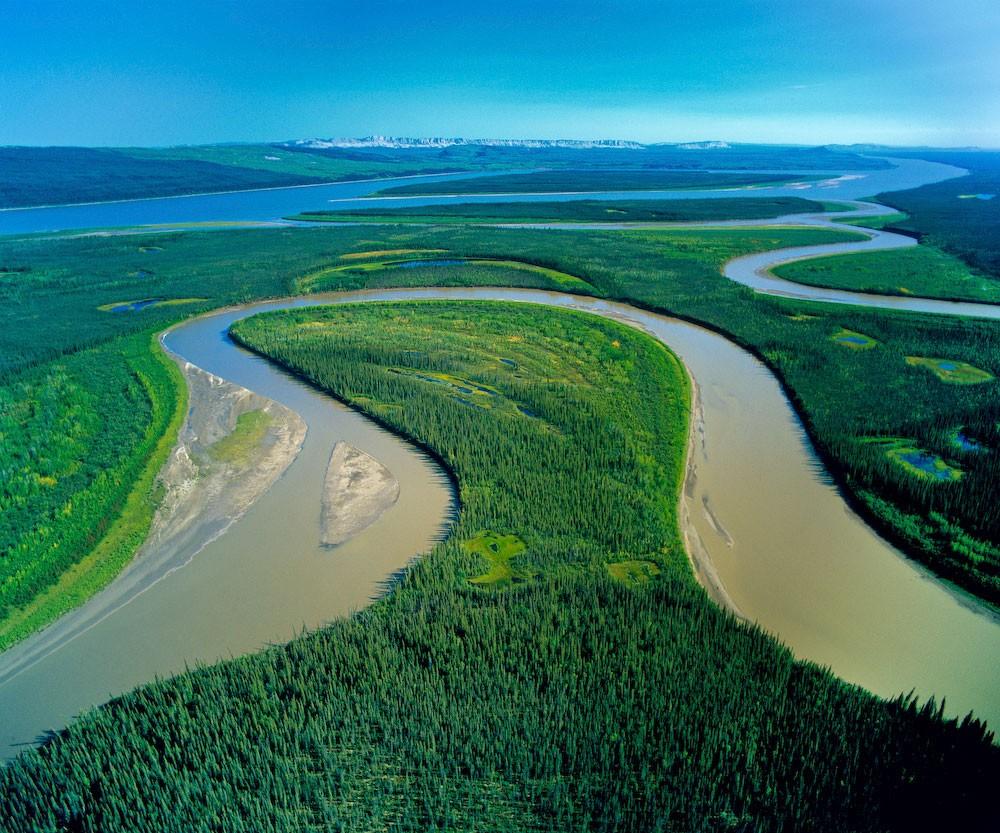 Peru Amazon River Trees Wallpaper HD Free Nature Picture