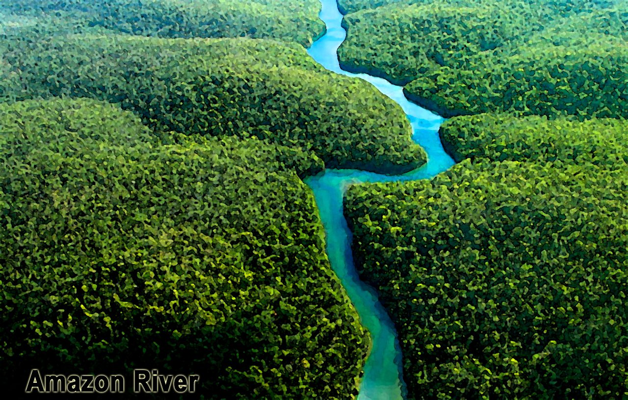 Peru Amazon River Trees Wallpaper HD Free Nature Picture