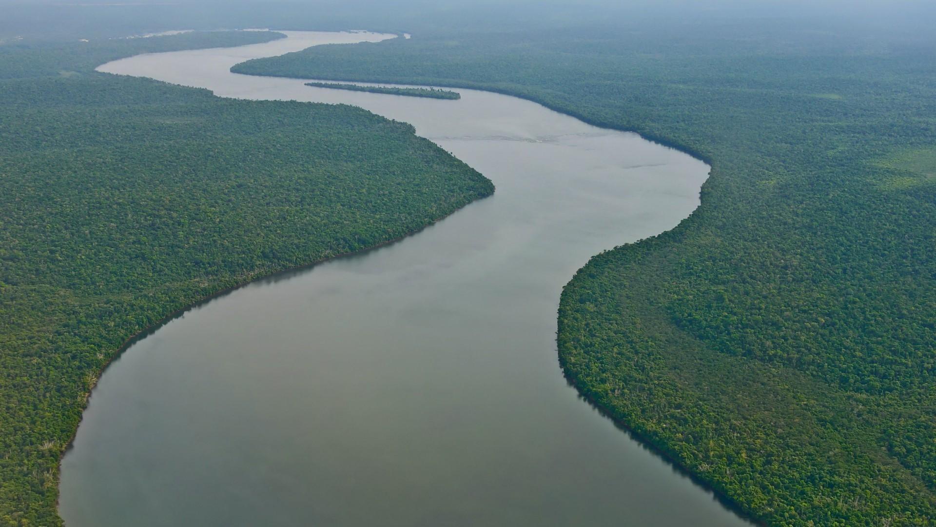 river amazon forest nature landscape tropical forest wallpaper