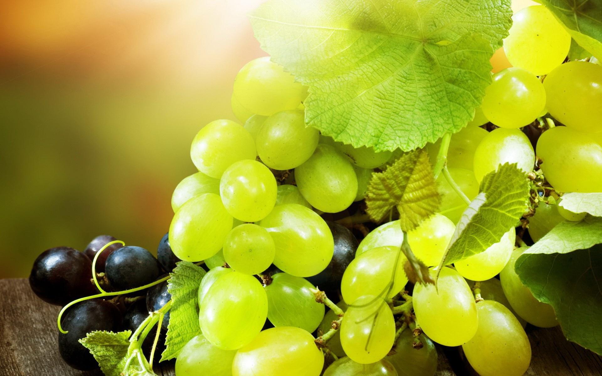 WallpaperMISC Of Grapes HD Wallpaper Free TOP High Quality