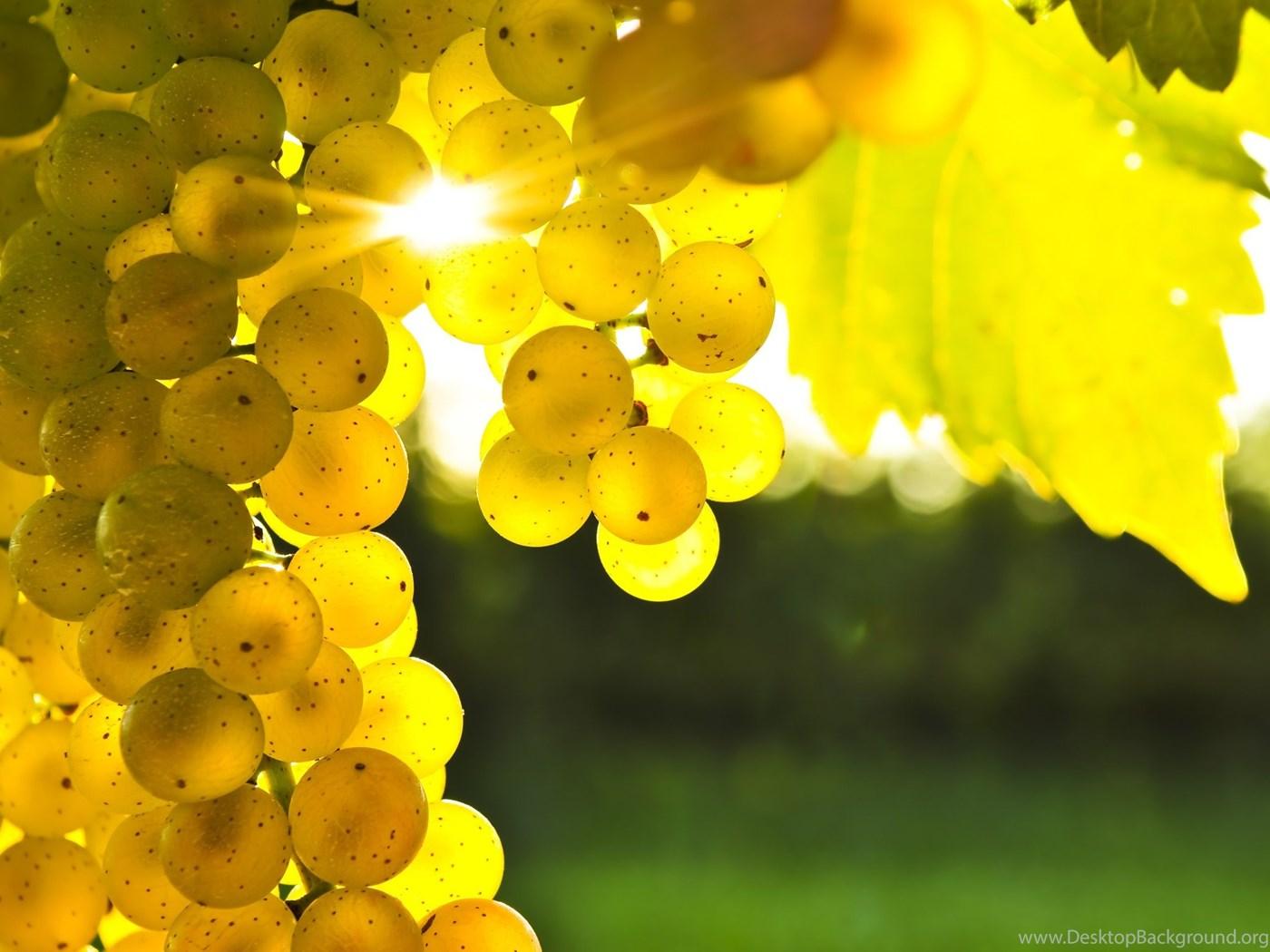 Grapes Wallpaper Desktop Background