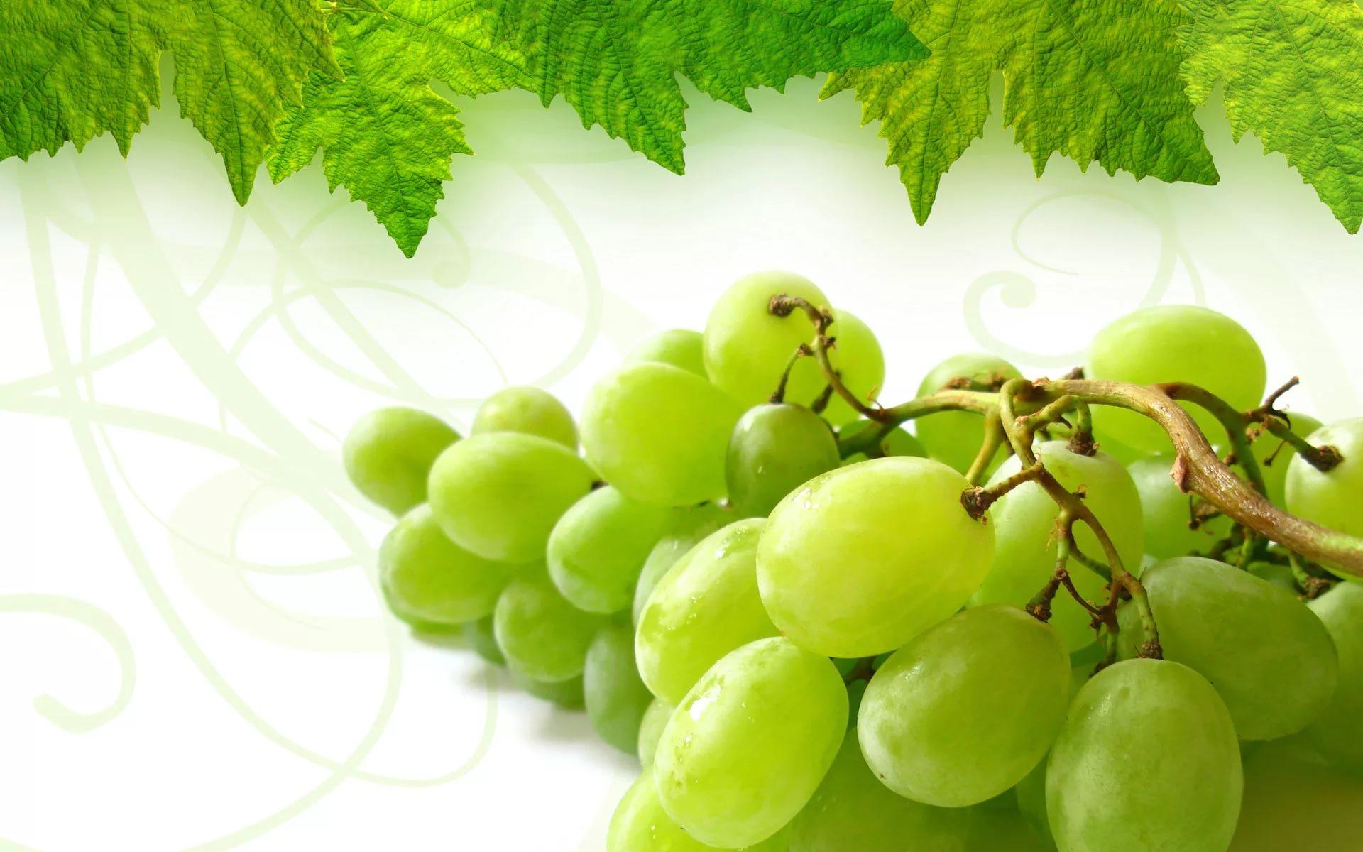 Grapes HD Wallpaper free