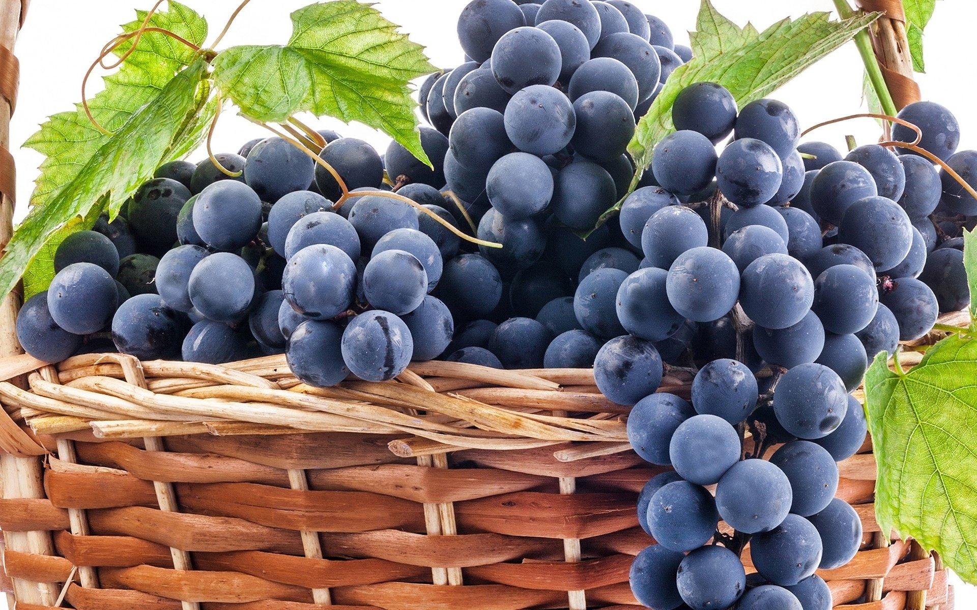 Grapes Wallpaper