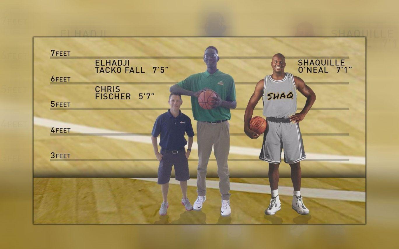 Shaquille O'Neal Shoes Yellow. Hot Trending Now