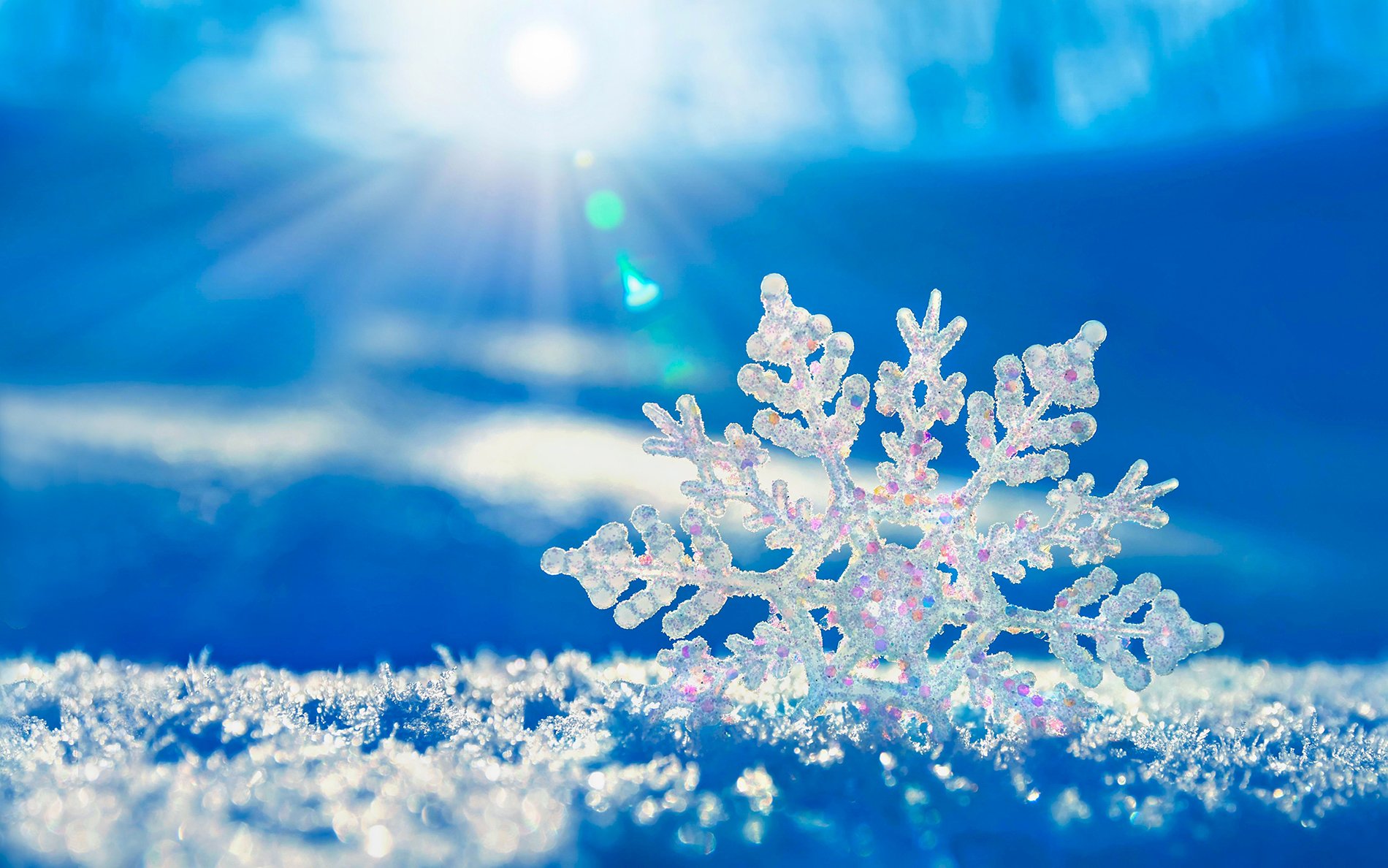 Winter beautiful snow Crystal 53470