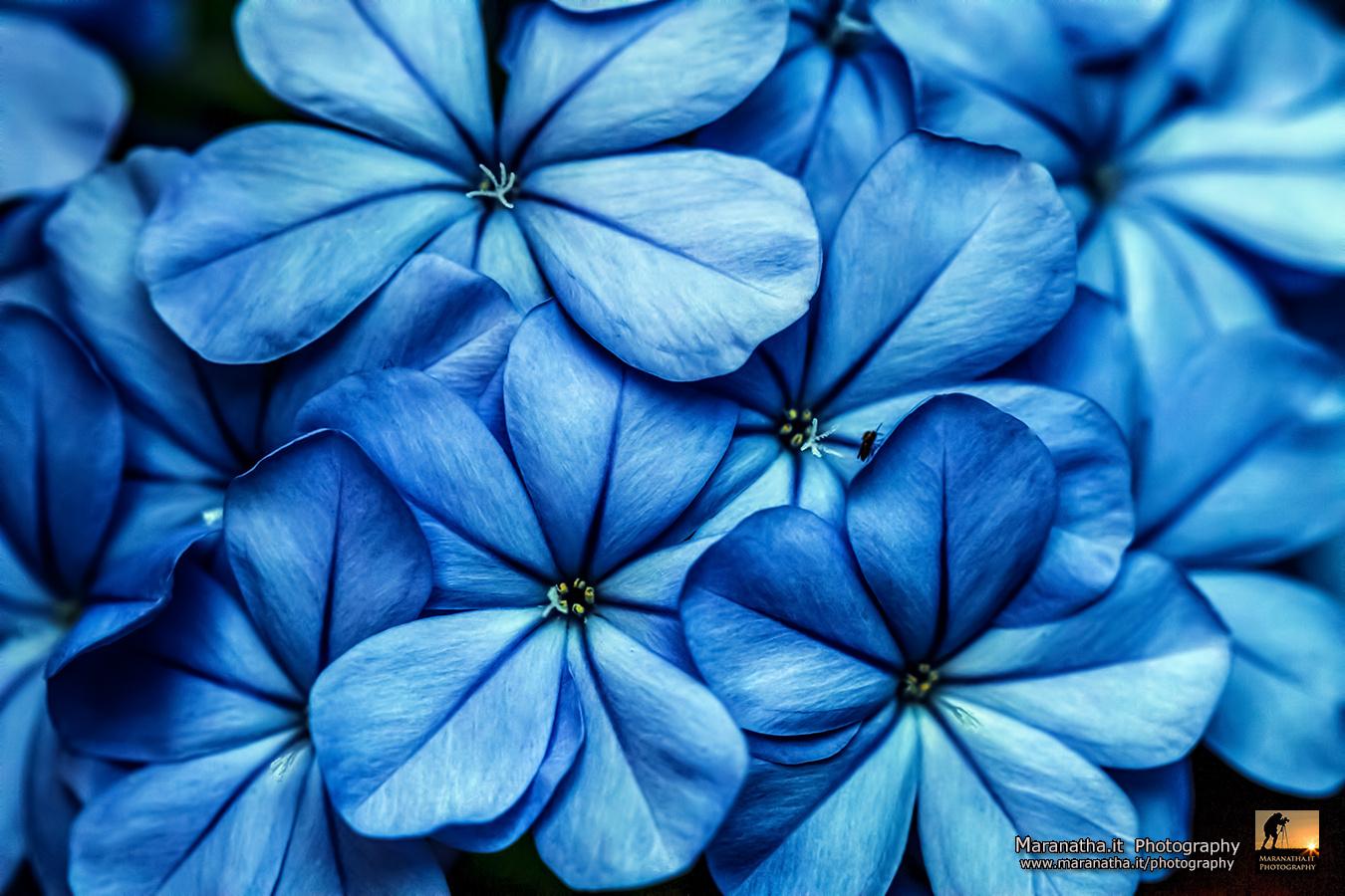 500px Blog 25 Beautiful Patterns, Shapes, & Textures
