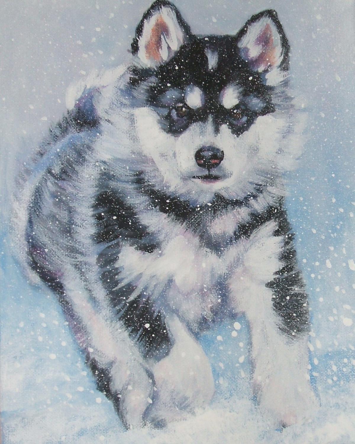 Funny drawn Alaskan Malamute dog photo and wallpaper