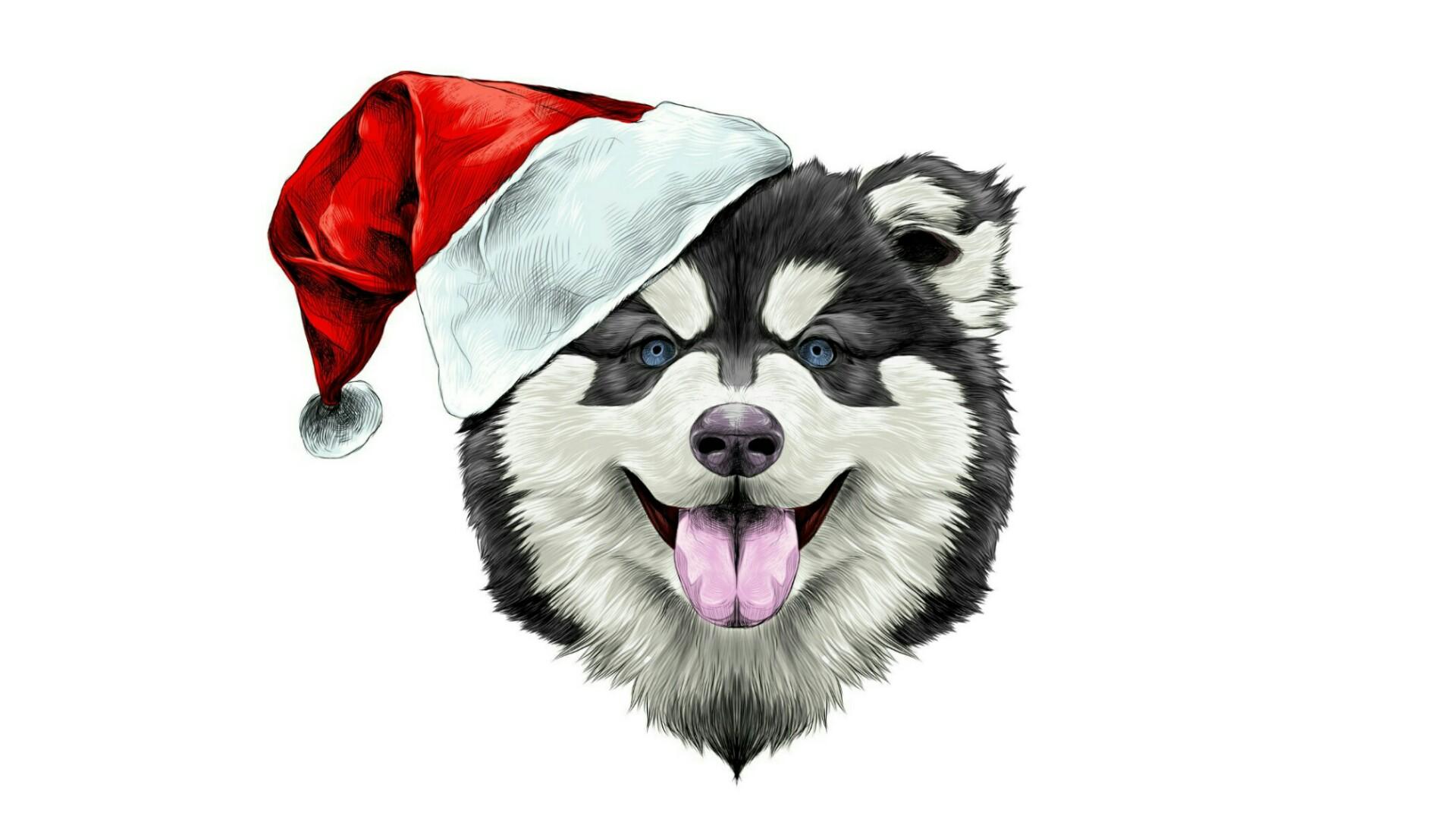 Alaskan Malamute Santa Claus Illustration HD Wallpaper. Wallpaper