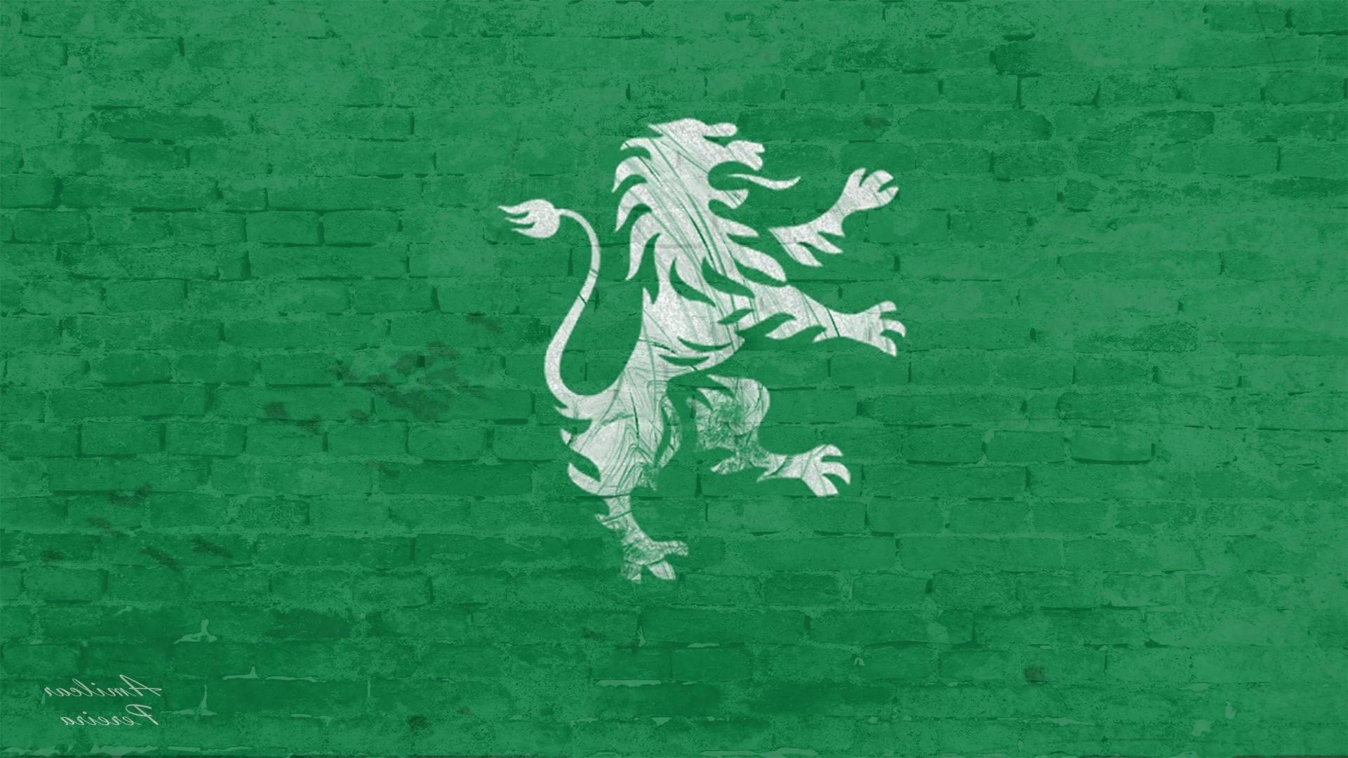 sporting lisbona lion walls wallpaper and background