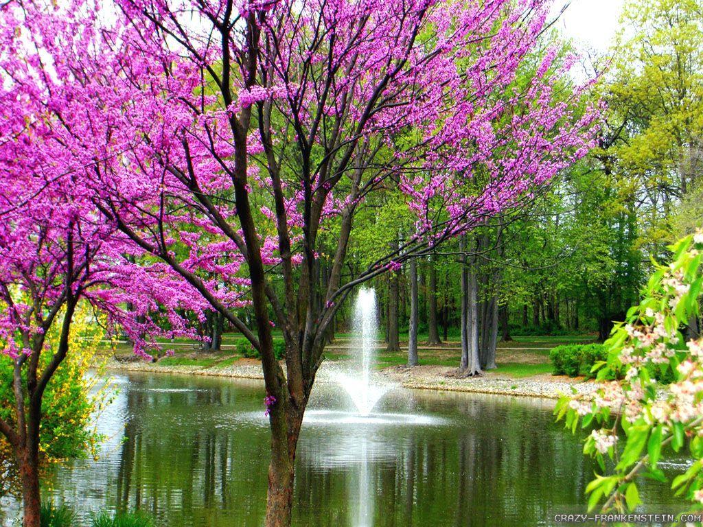 gorgeous spring picture. Beautiful Spring Day Wallpaper