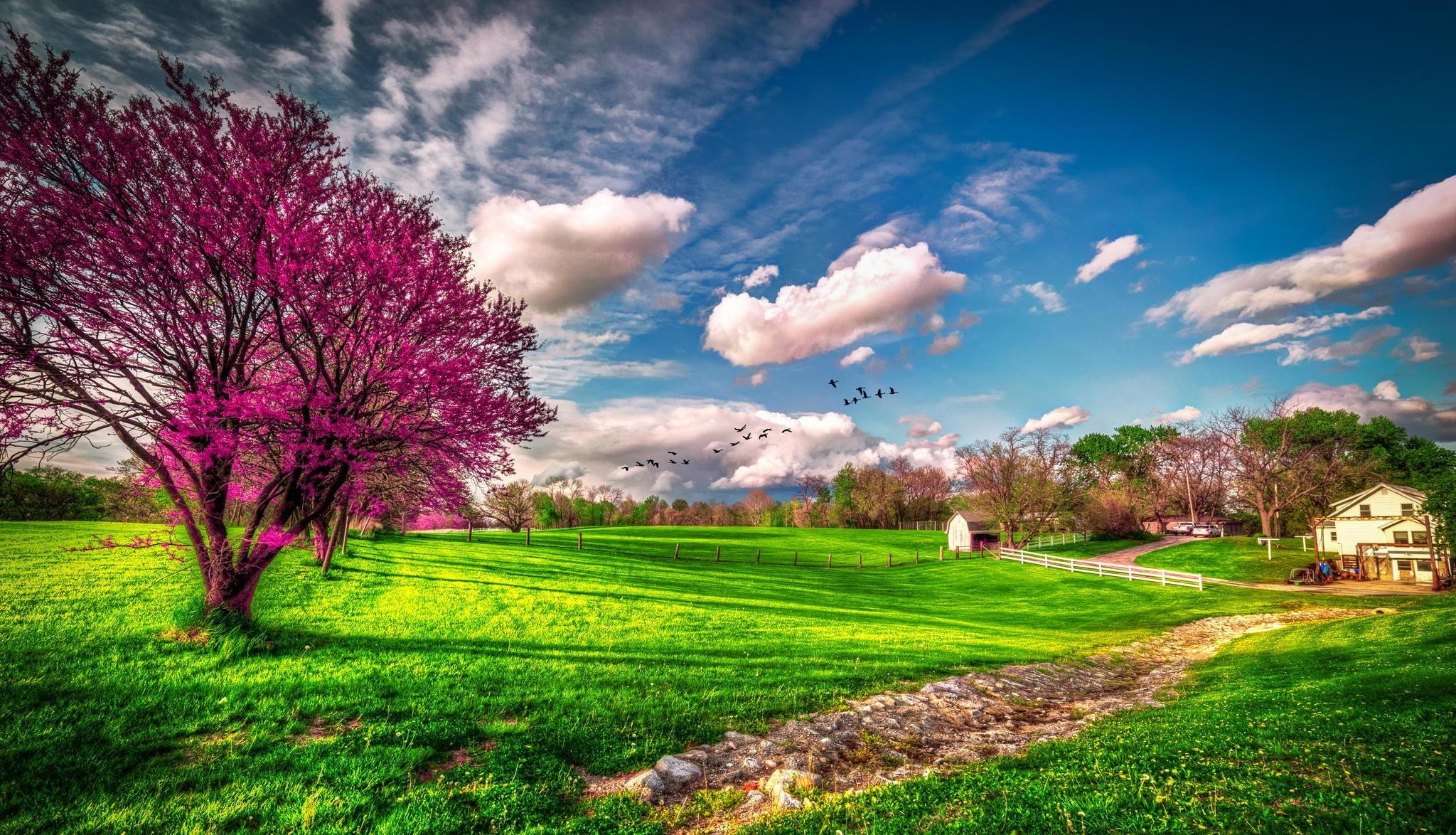 Spring HD Wallpaper and Background
