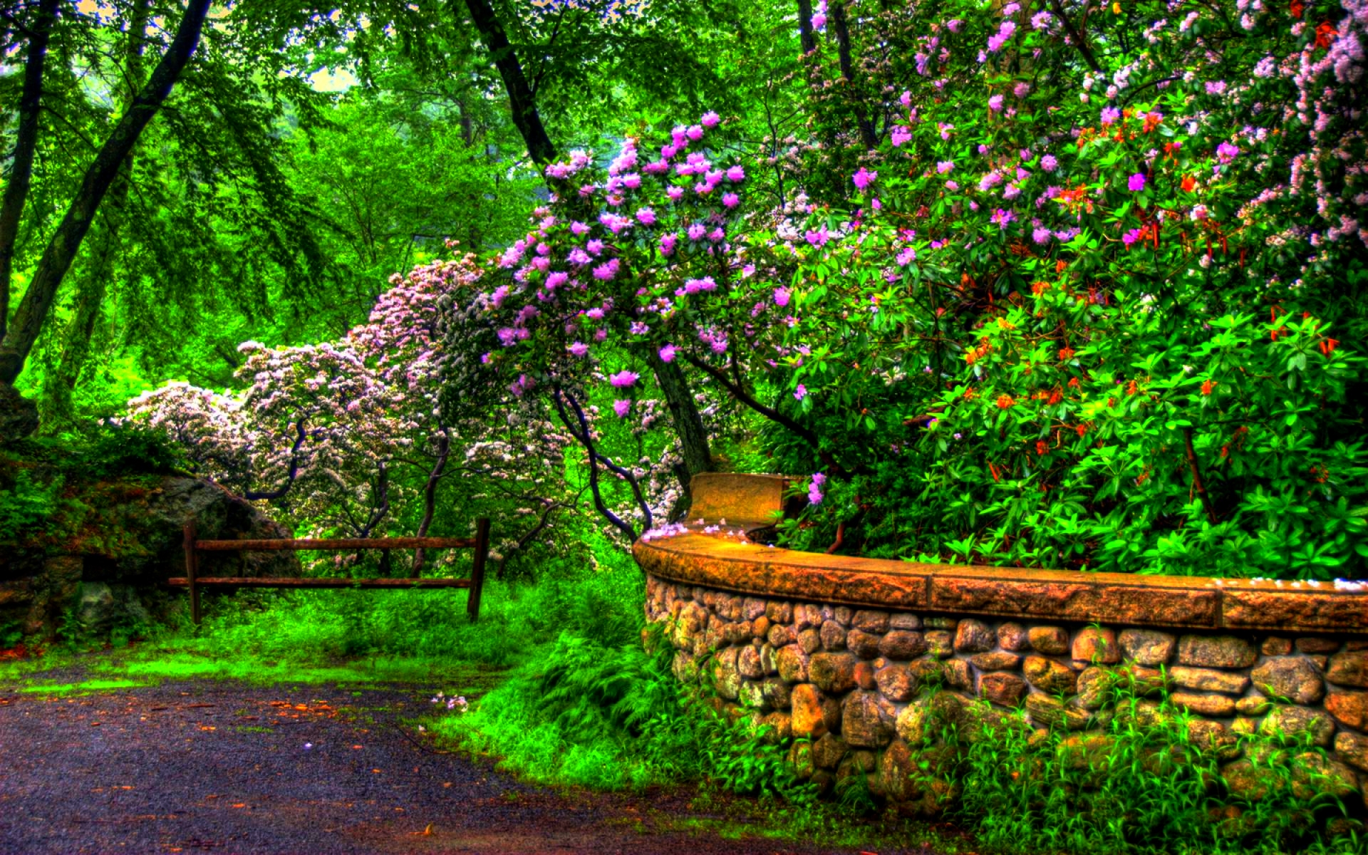 Springtime in the Park HD Wallpaper. Background Imagex1200