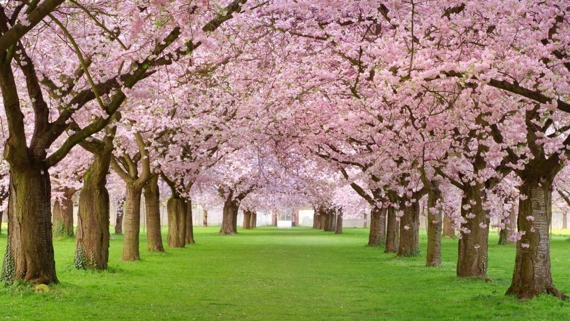Beautiful Spring image download