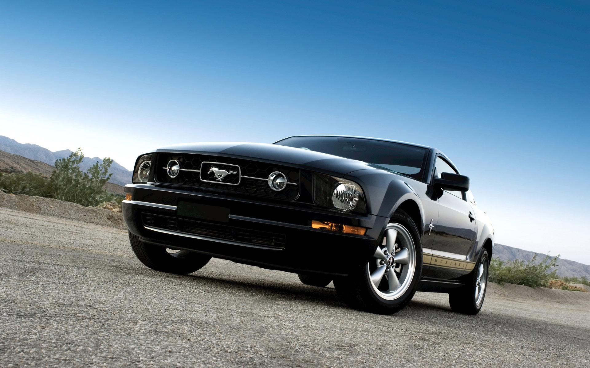 Mustang HD Wallpaper High Quality