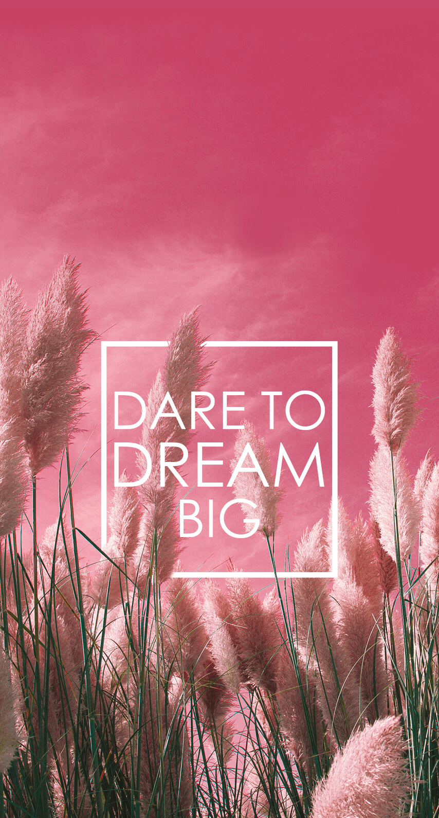 Dare to dream big #dreambig #dreams #inspiration #babyforyousa