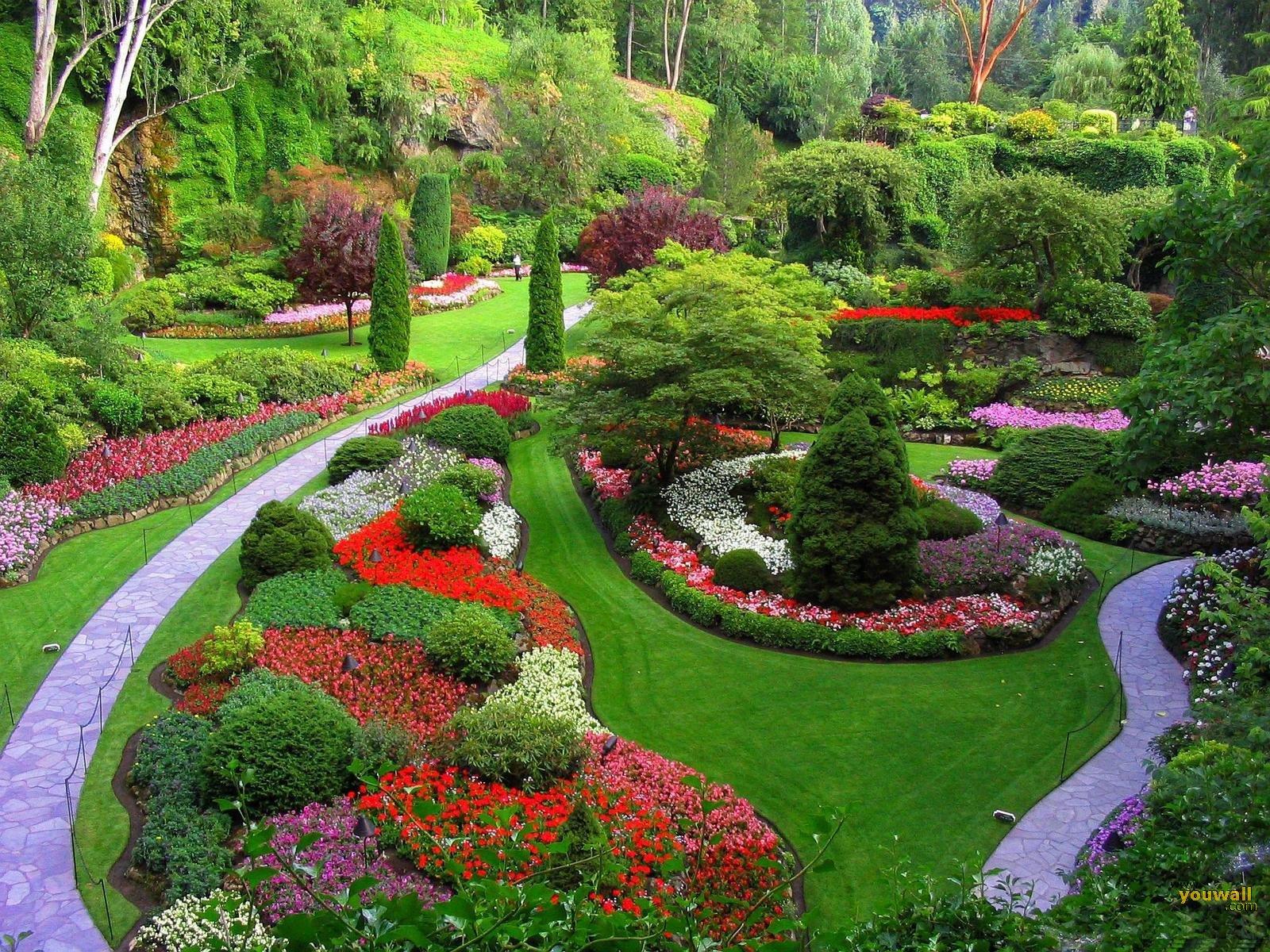 Beautiful Flower Park Wallpaper HD Free For Desktop