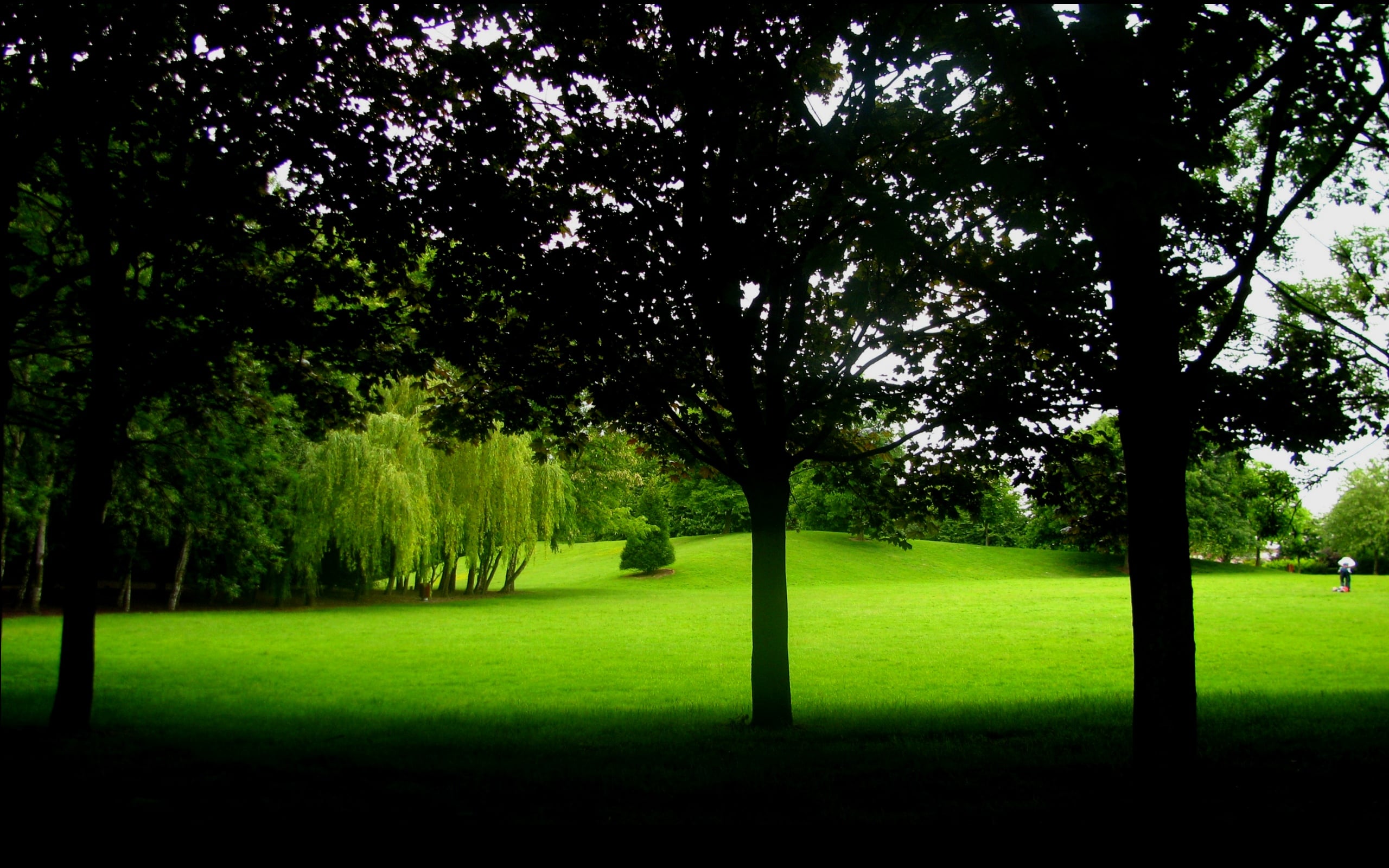 Park Wallpapers - Wallpaper Cave